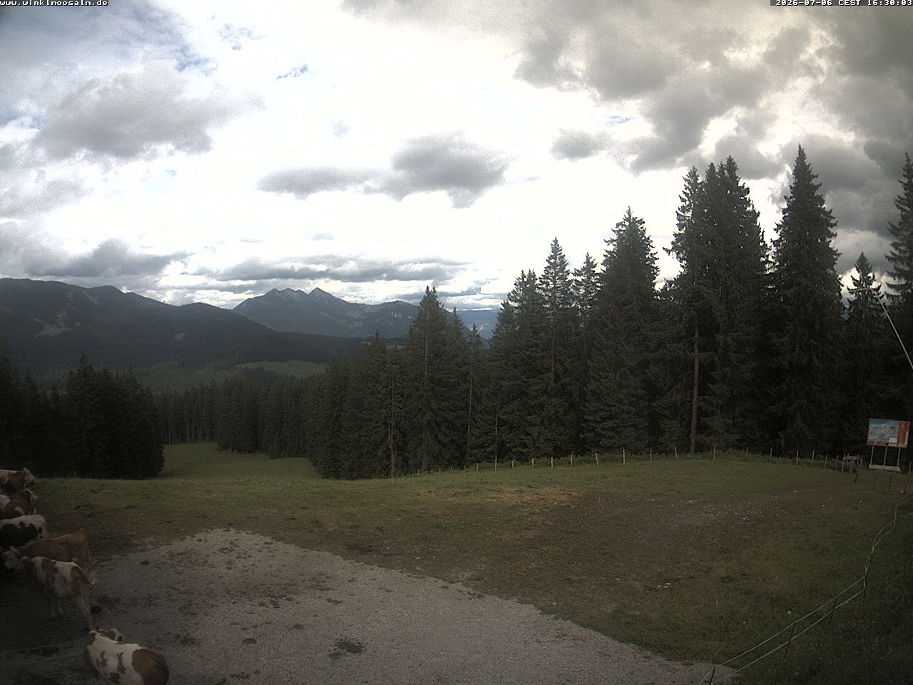 Archiv Foto Webcam Ausblick Scheibelberg