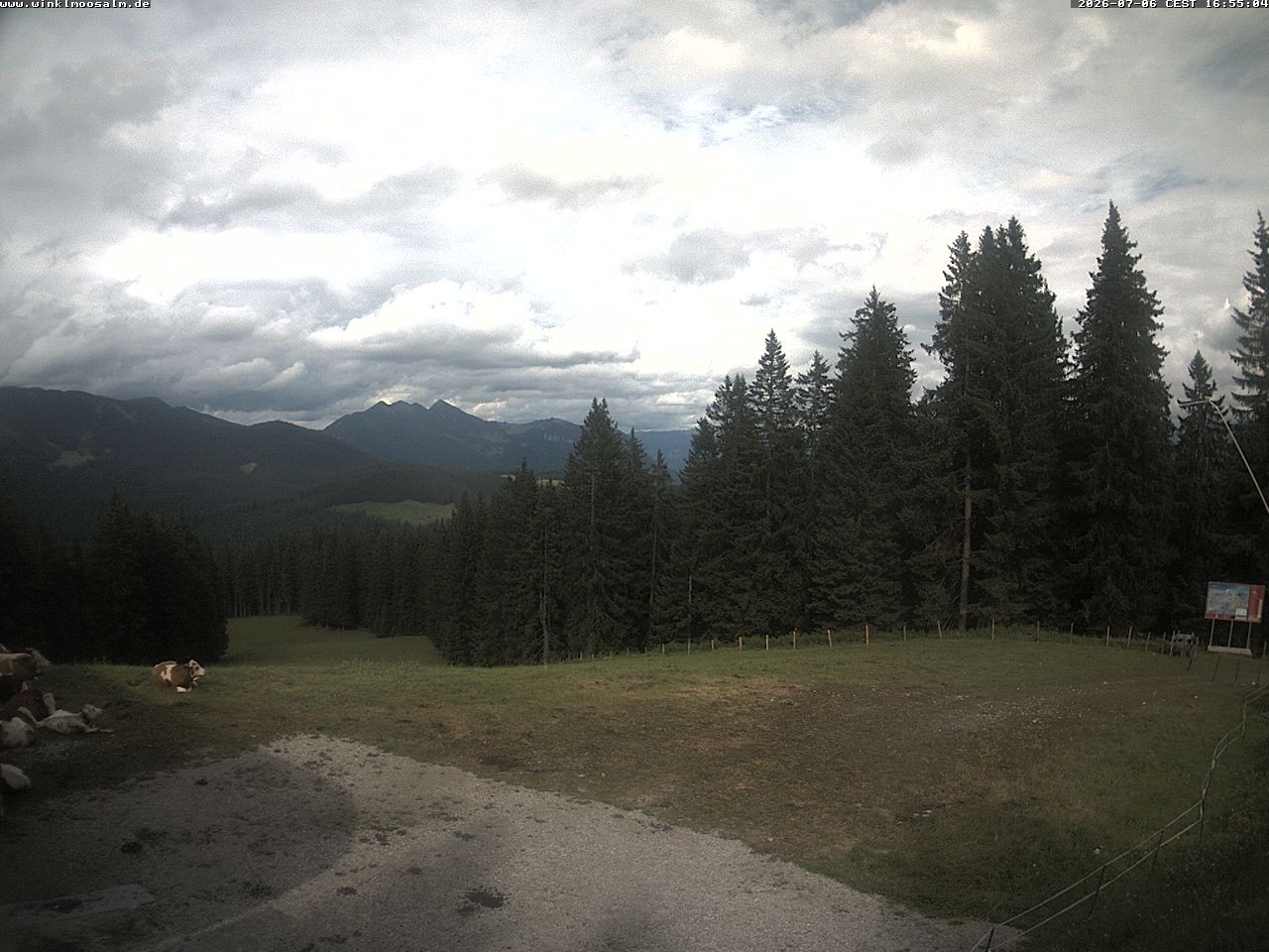 Archiv Foto Webcam Ausblick Scheibelberg