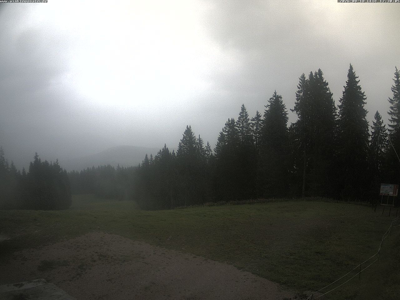 Archiv Foto Webcam Ausblick Scheibelberg