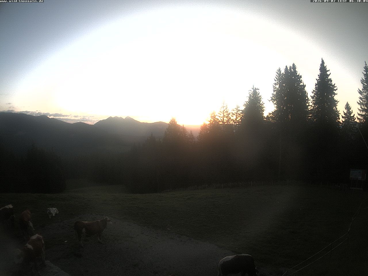 Archiv Foto Webcam Ausblick Scheibelberg
