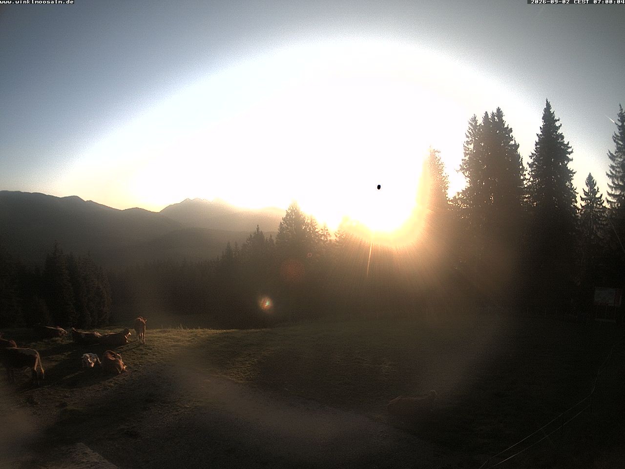 Archiv Foto Webcam Ausblick Scheibelberg