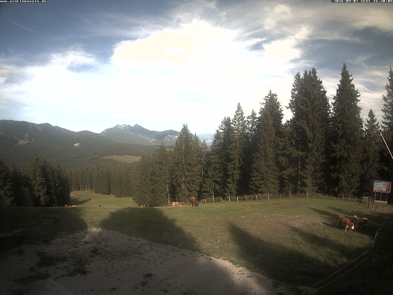 Archived image Webcam Panorama Scheibelberg
