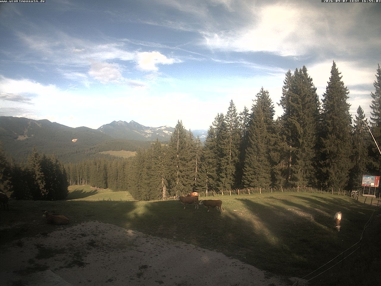 Archiv Foto Webcam Ausblick Scheibelberg
