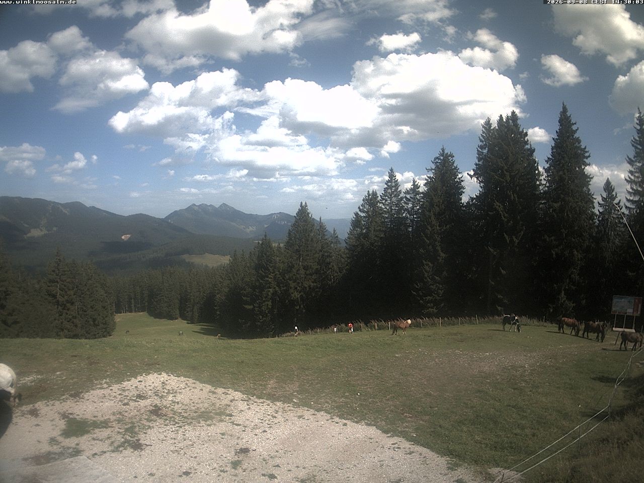 Archiv Foto Webcam Ausblick Scheibelberg
