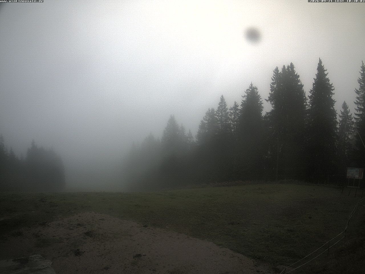 Archiv Foto Webcam Ausblick Scheibelberg
