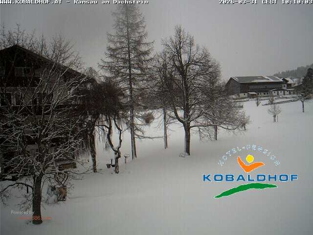 Archiv Foto Webcam Ramsau am Dachstein: Golfplatz am Kobaldhof