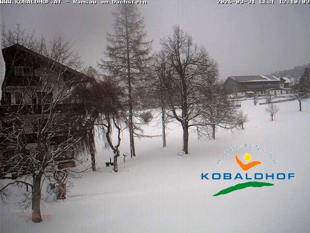 Archiv Foto Webcam Ramsau am Dachstein: Golfplatz am Kobaldhof