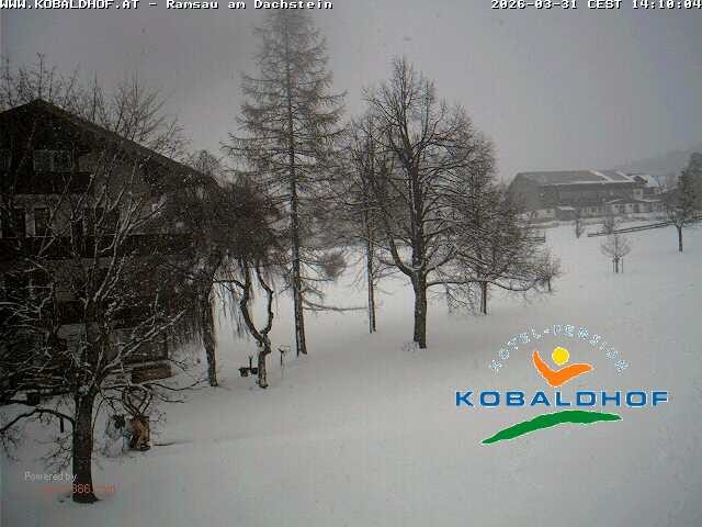 Archiv Foto Webcam Ramsau am Dachstein: Golfplatz am Kobaldhof