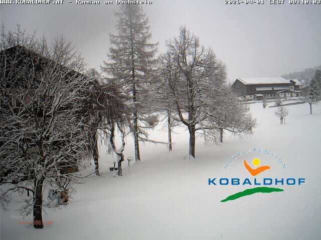 Archived image Webcam Ramsau am Dachstein: Golf course at the hotel Kobaldhof