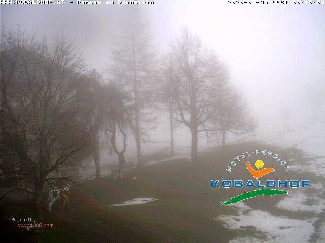 Archiv Foto Webcam Ramsau am Dachstein: Golfplatz am Kobaldhof