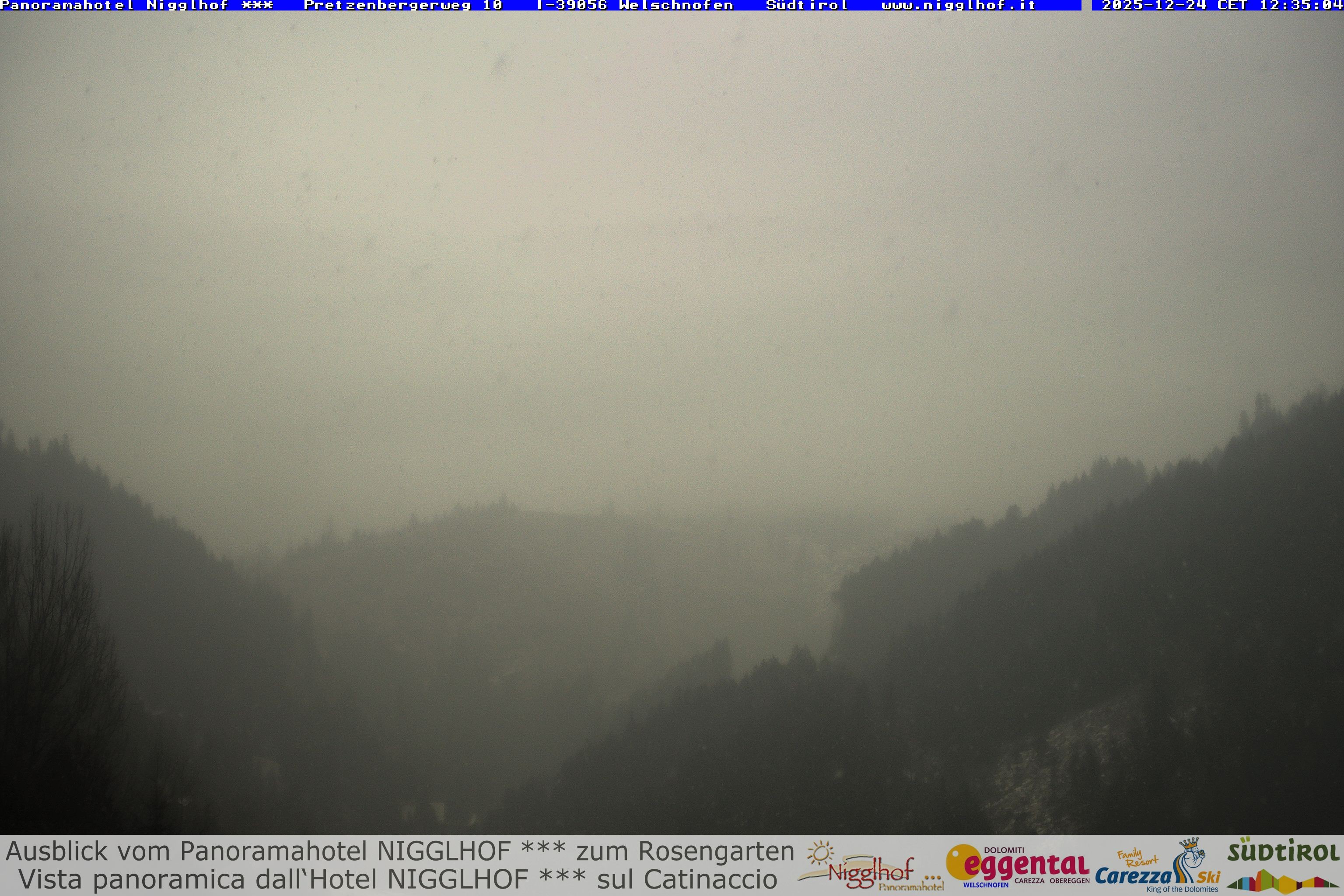 Archiv Foto Webcam Welschnofen: Hotel Nigglhof