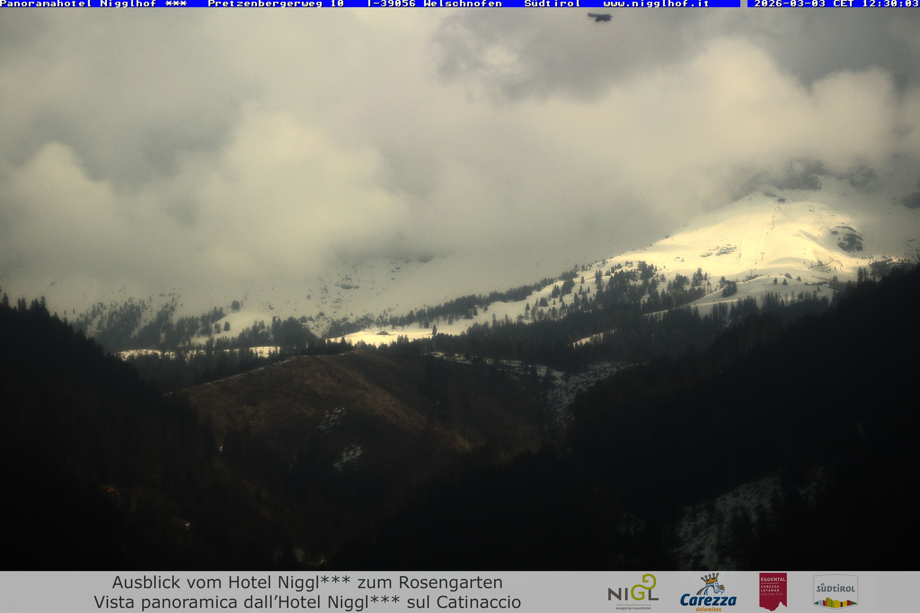 Archiv Foto Webcam Welschnofen: Hotel Nigglhof