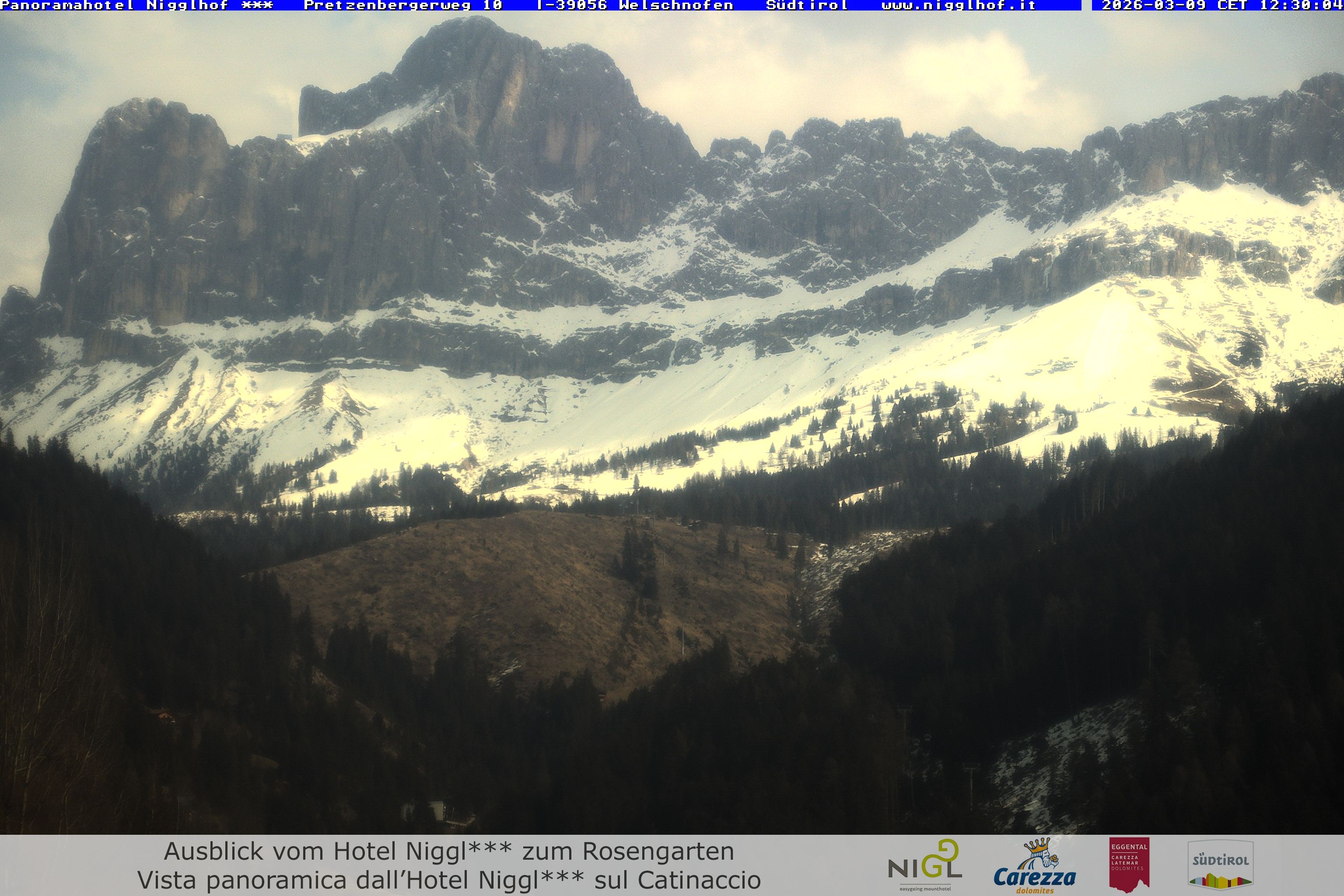 Archiv Foto Webcam Welschnofen: Hotel Nigglhof