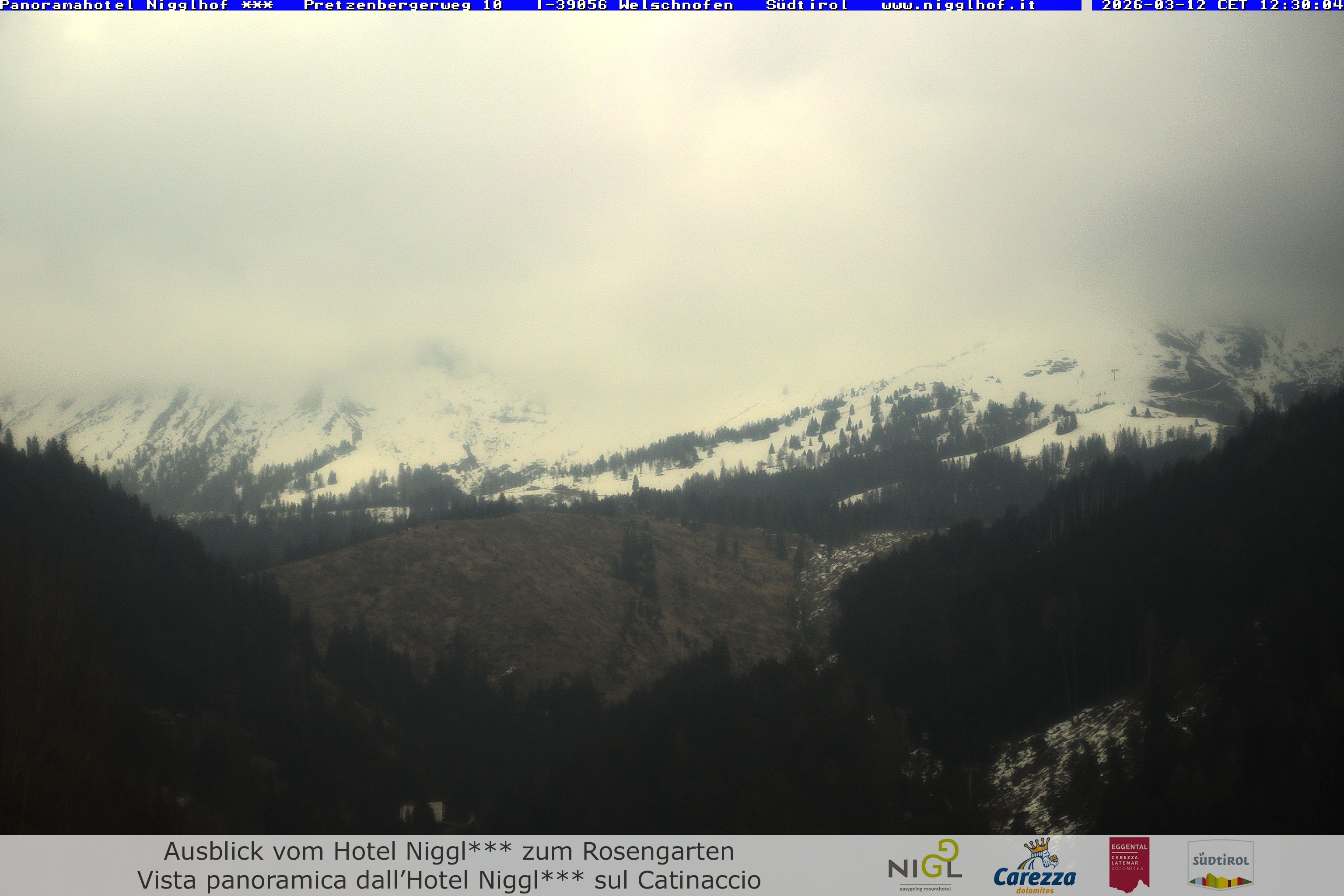 Archived image Webcam Welschnofen: Hotel Nigglhof