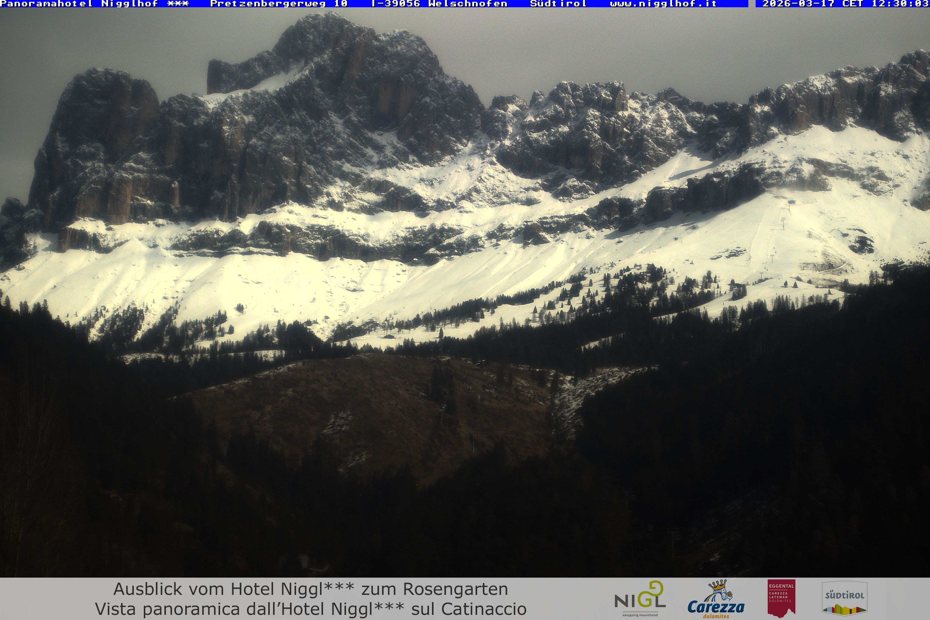 Archived image Webcam Welschnofen: Hotel Nigglhof