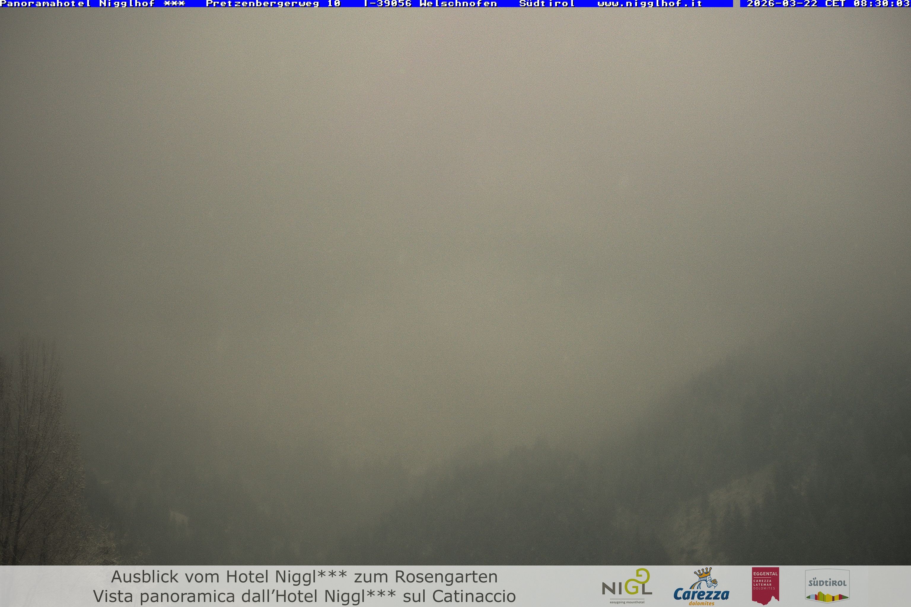 Archived image Webcam Welschnofen: Hotel Nigglhof