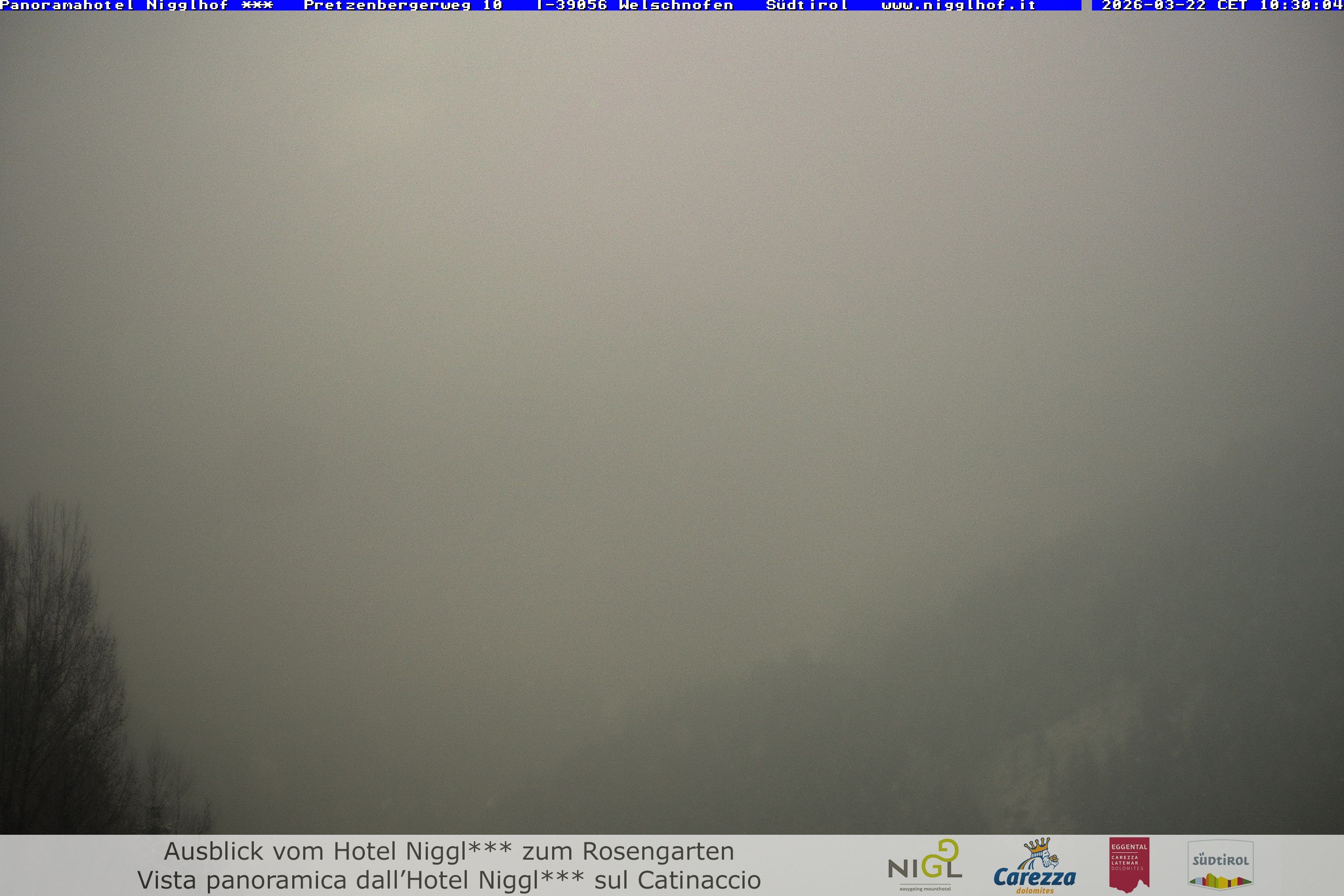 Archived image Webcam Welschnofen: Hotel Nigglhof