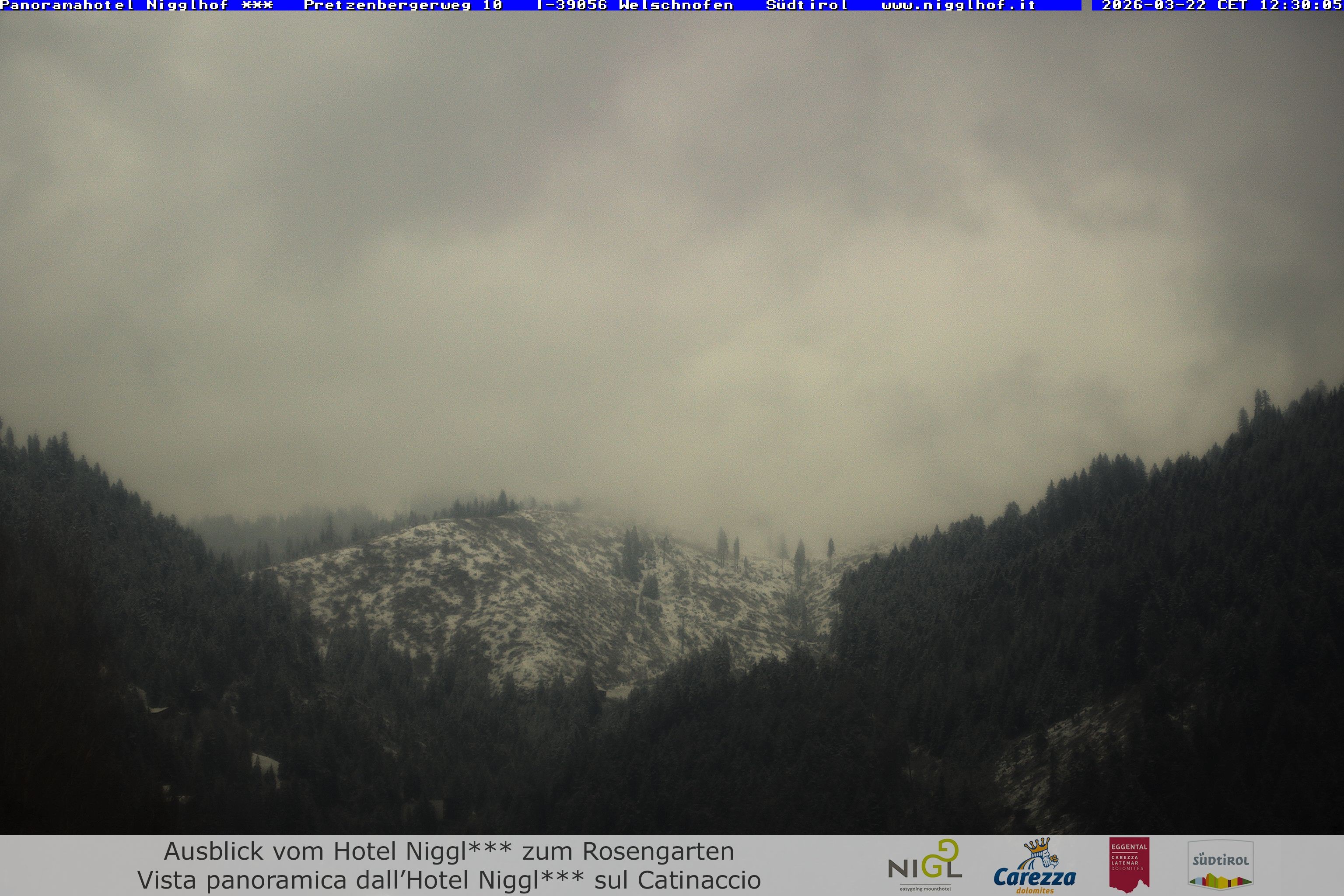 Archived image Webcam Welschnofen: Hotel Nigglhof