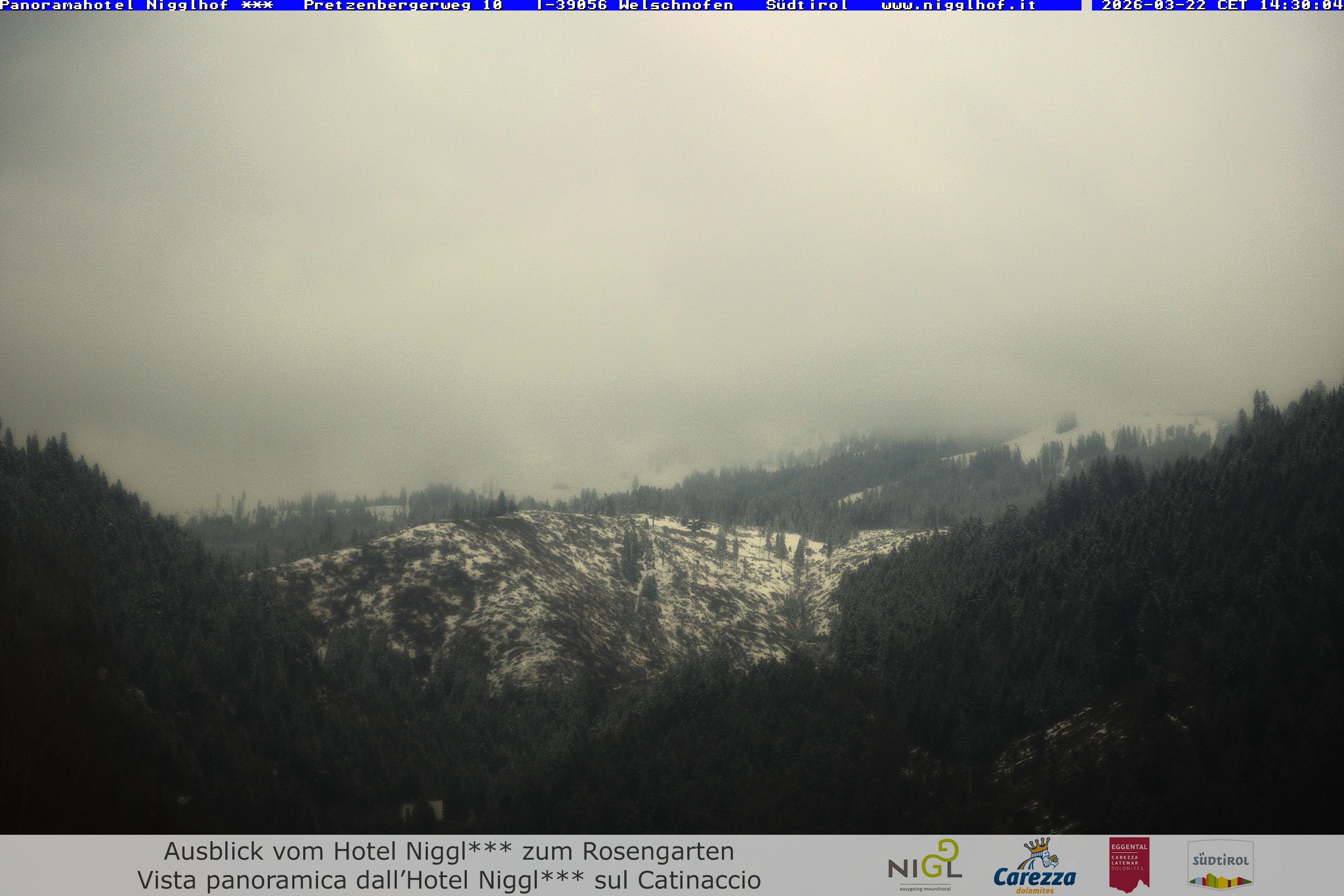 Archived image Webcam Welschnofen: Hotel Nigglhof