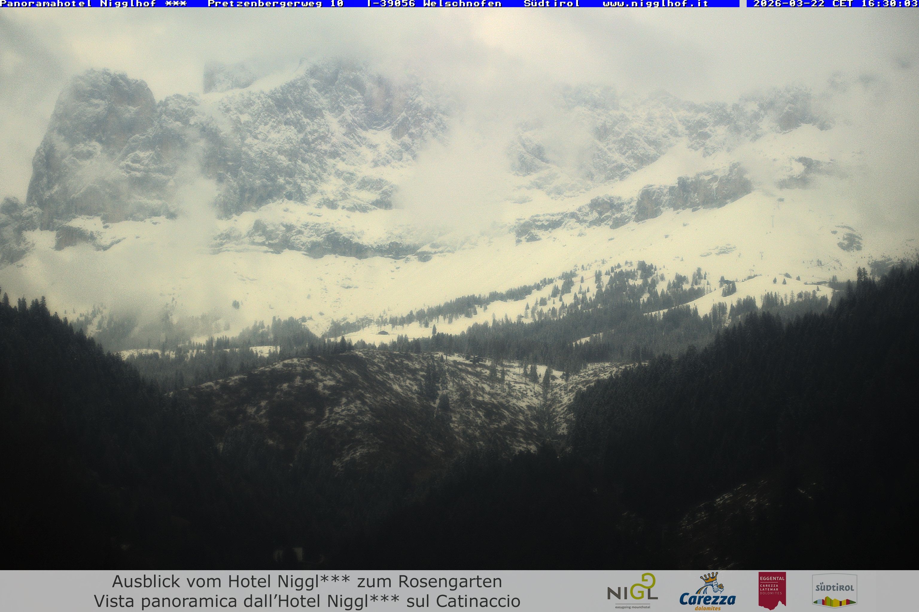 Archived image Webcam Welschnofen: Hotel Nigglhof