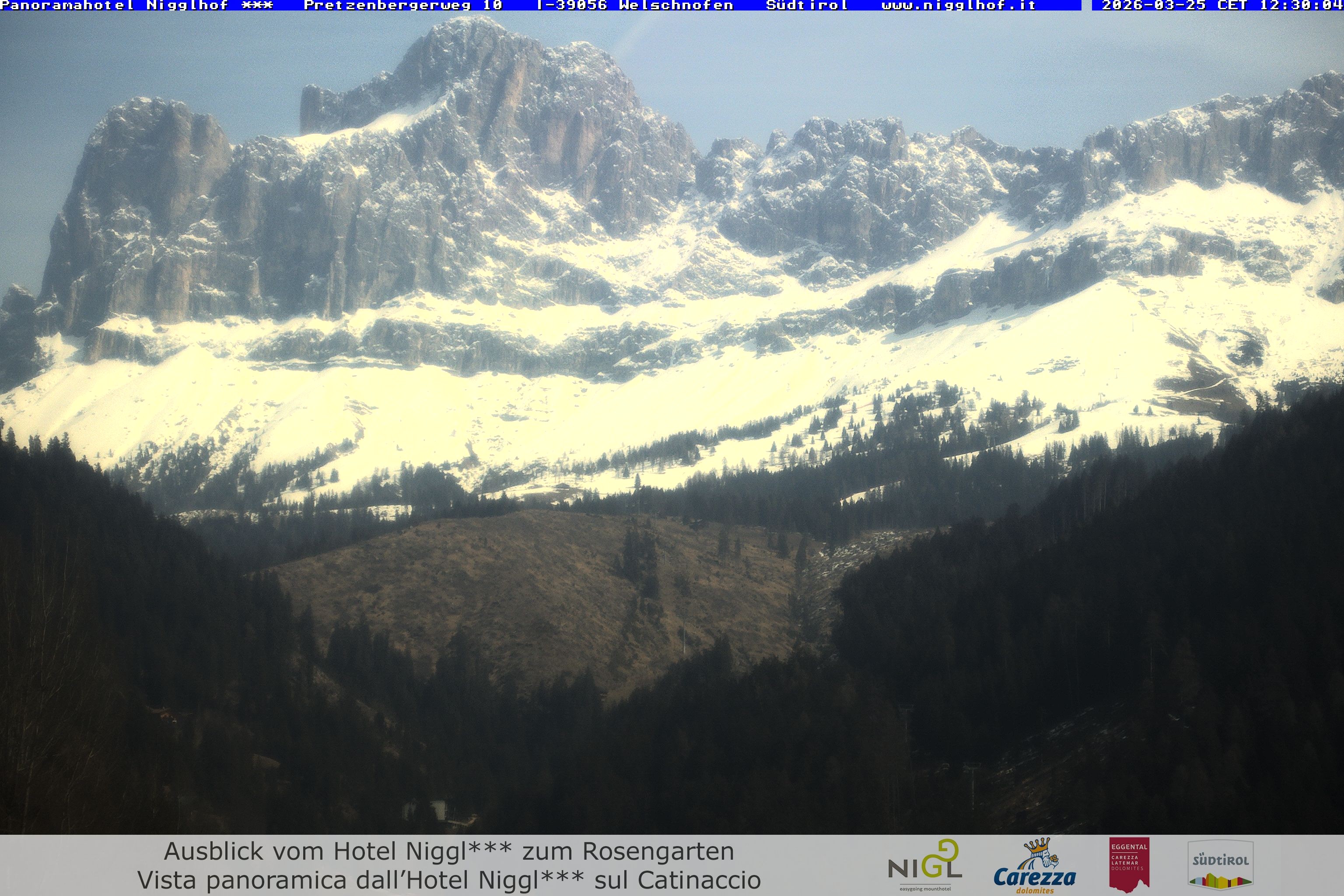 Archiv Foto Webcam Welschnofen: Hotel Nigglhof