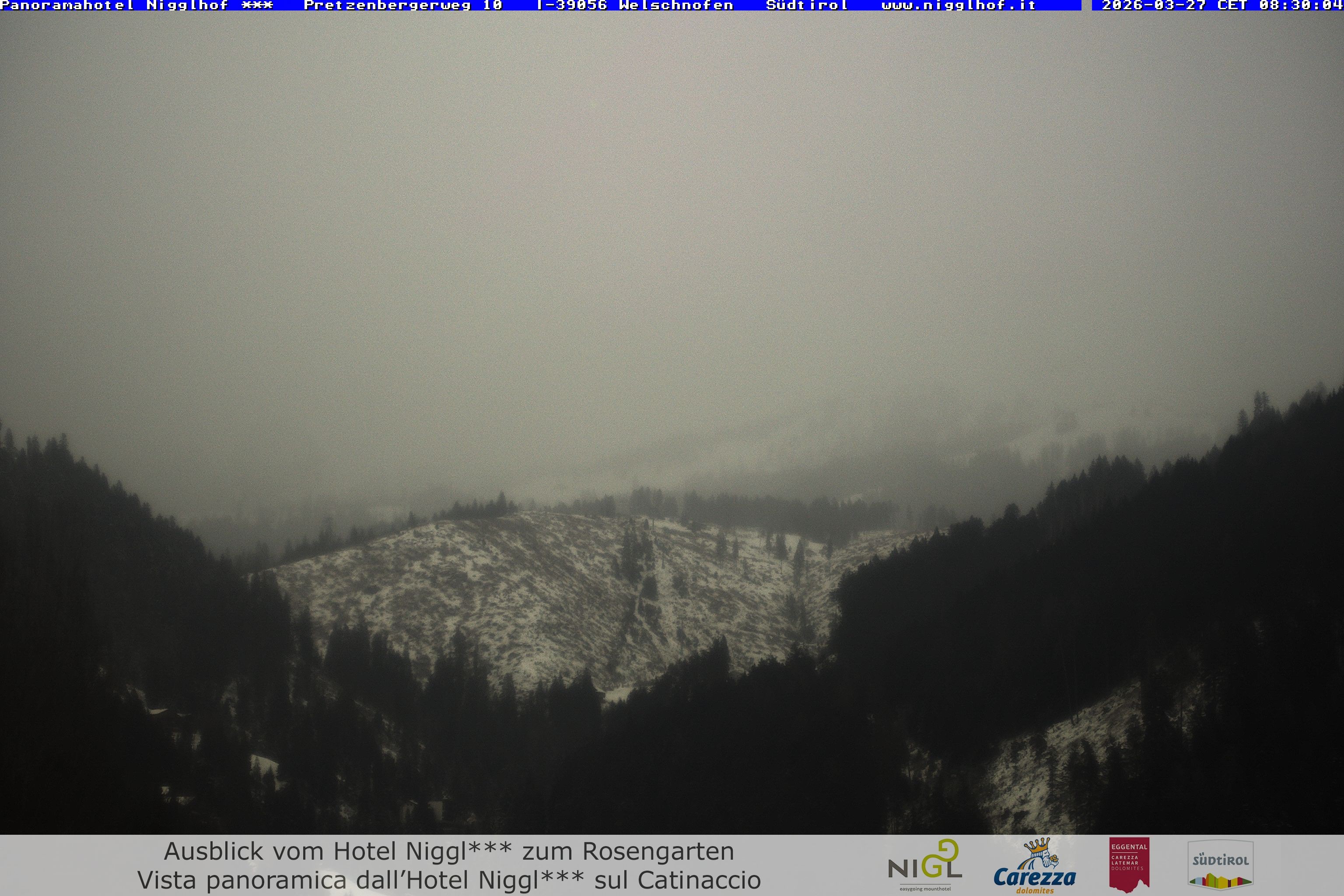 Archived image Webcam Welschnofen: Hotel Nigglhof