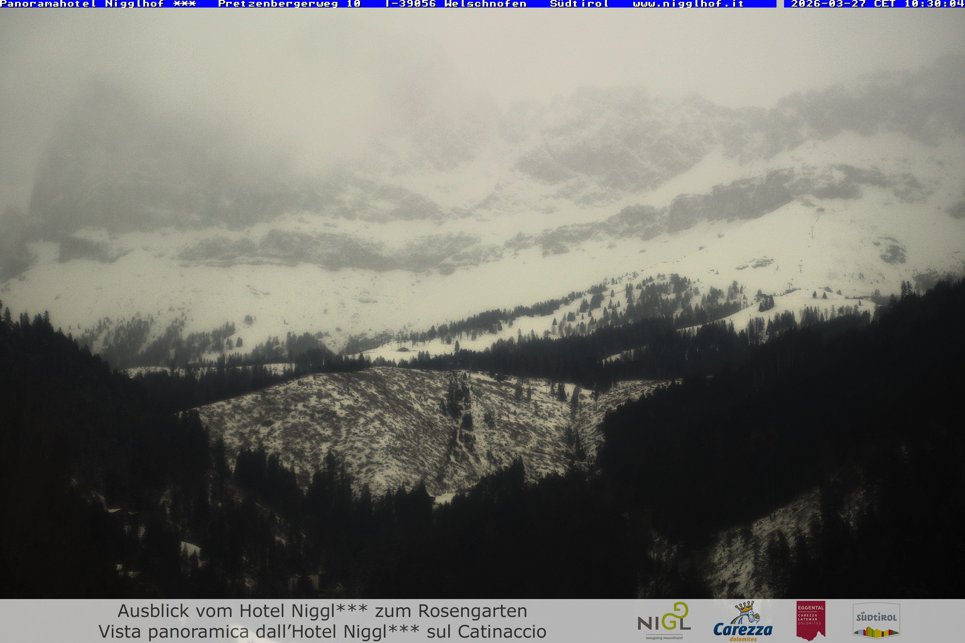 Archived image Webcam Welschnofen: Hotel Nigglhof