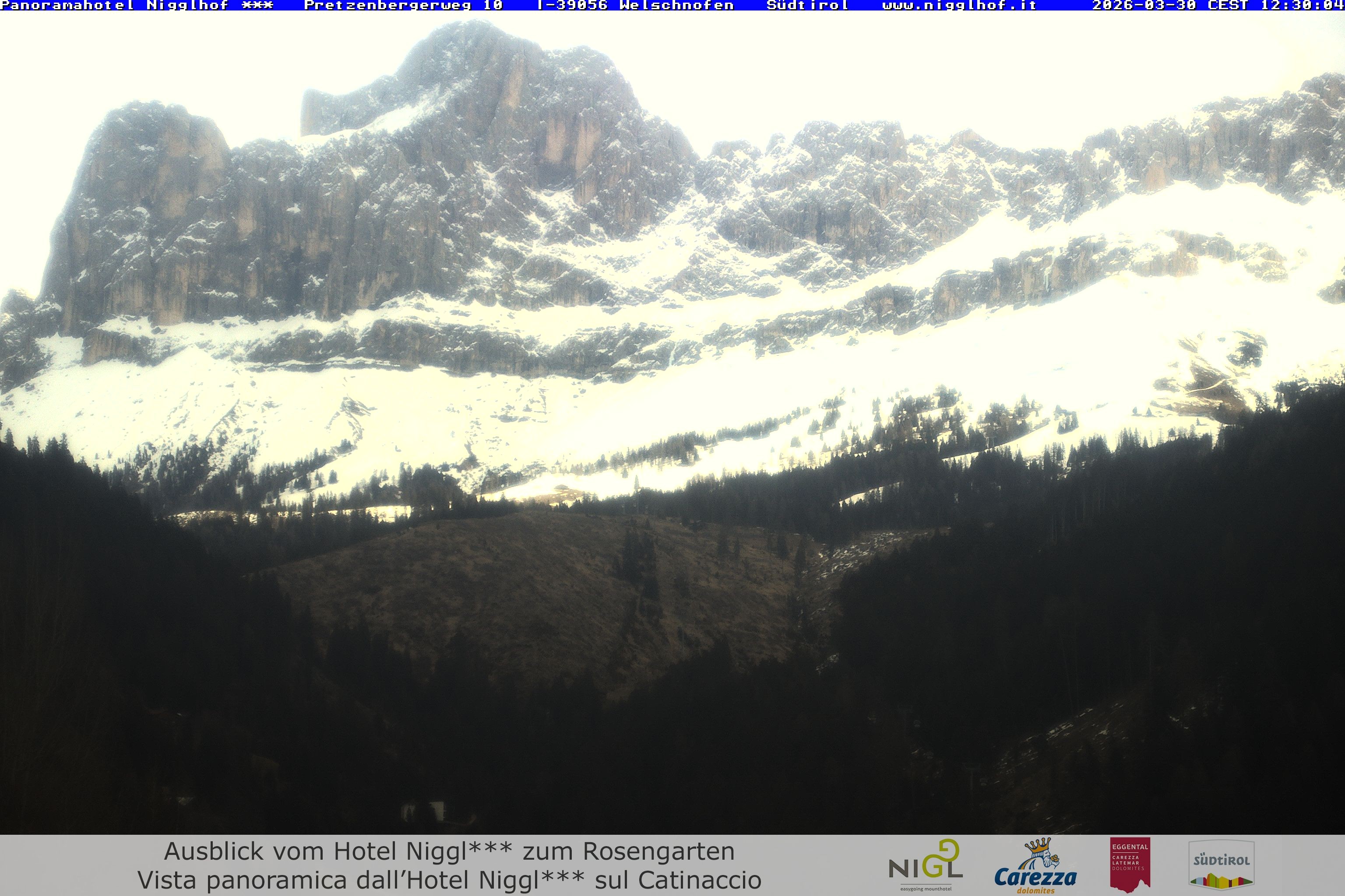 Archived image Webcam Welschnofen: Hotel Nigglhof