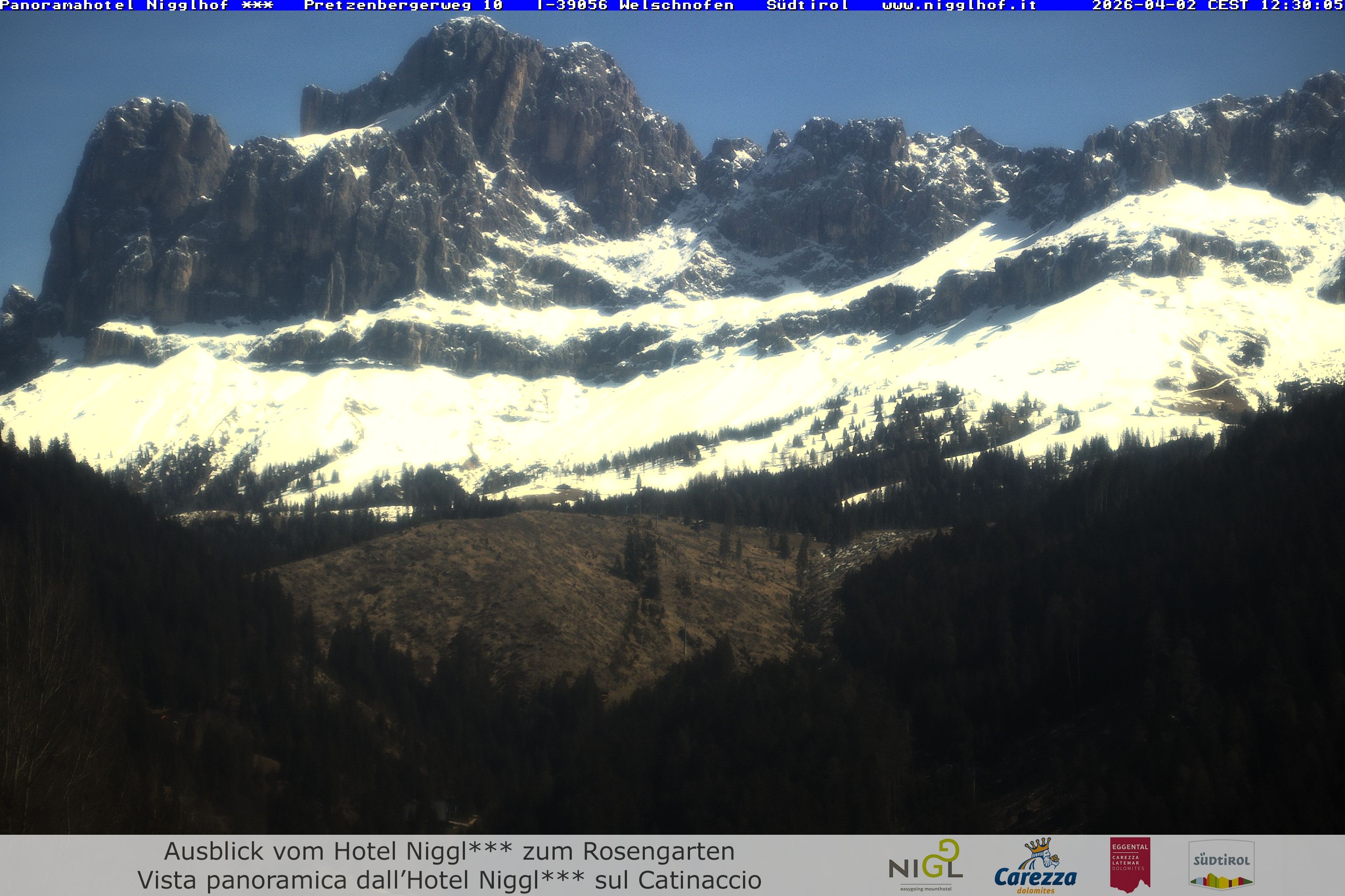 Archiv Foto Webcam Welschnofen: Hotel Nigglhof