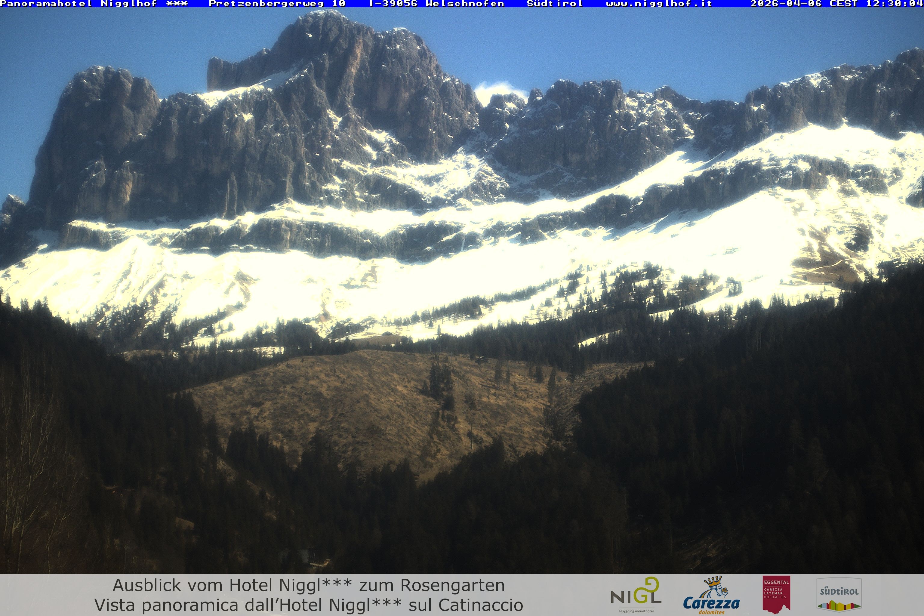 Archiv Foto Webcam Welschnofen: Hotel Nigglhof