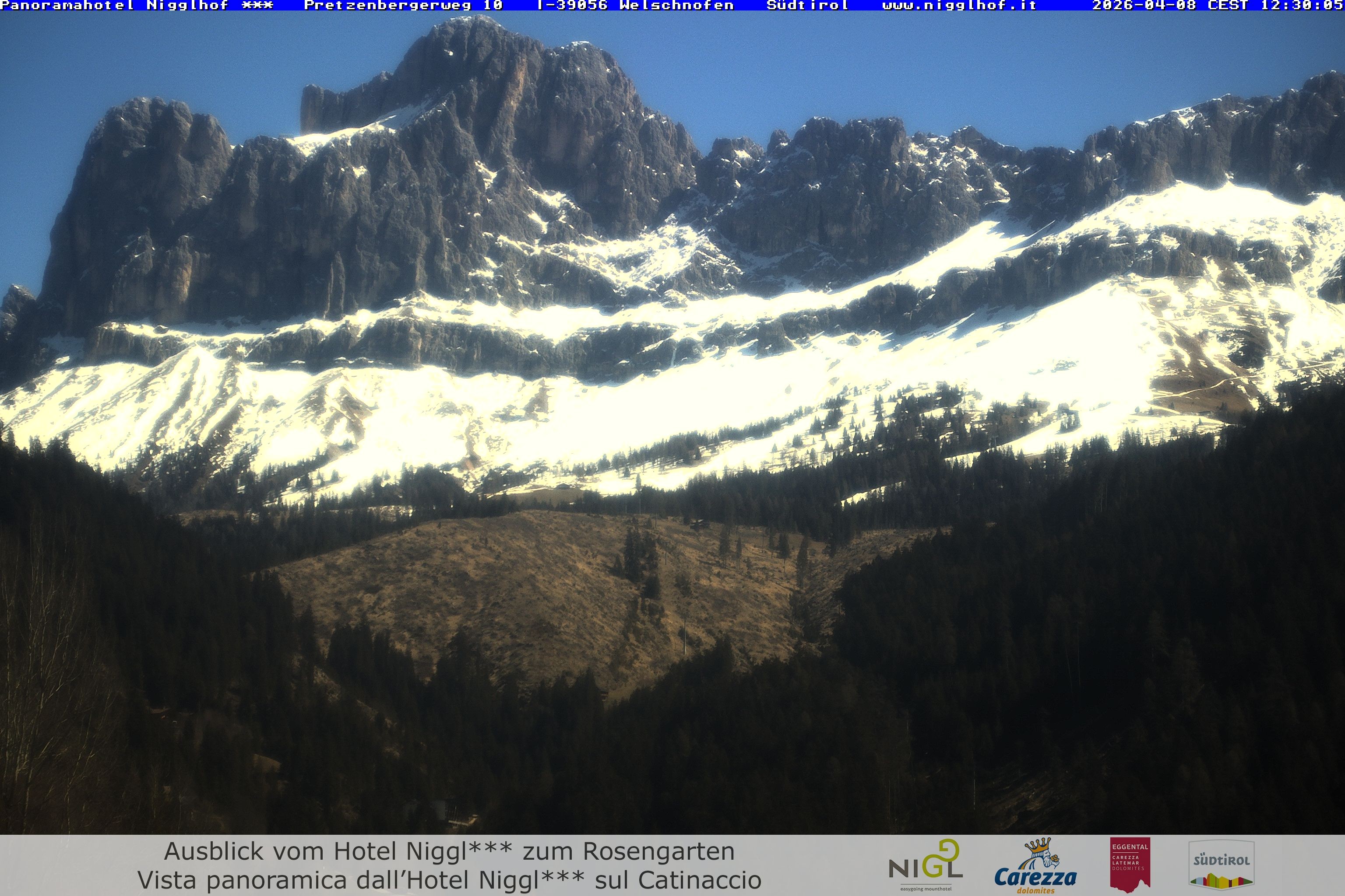 Archiv Foto Webcam Welschnofen: Hotel Nigglhof