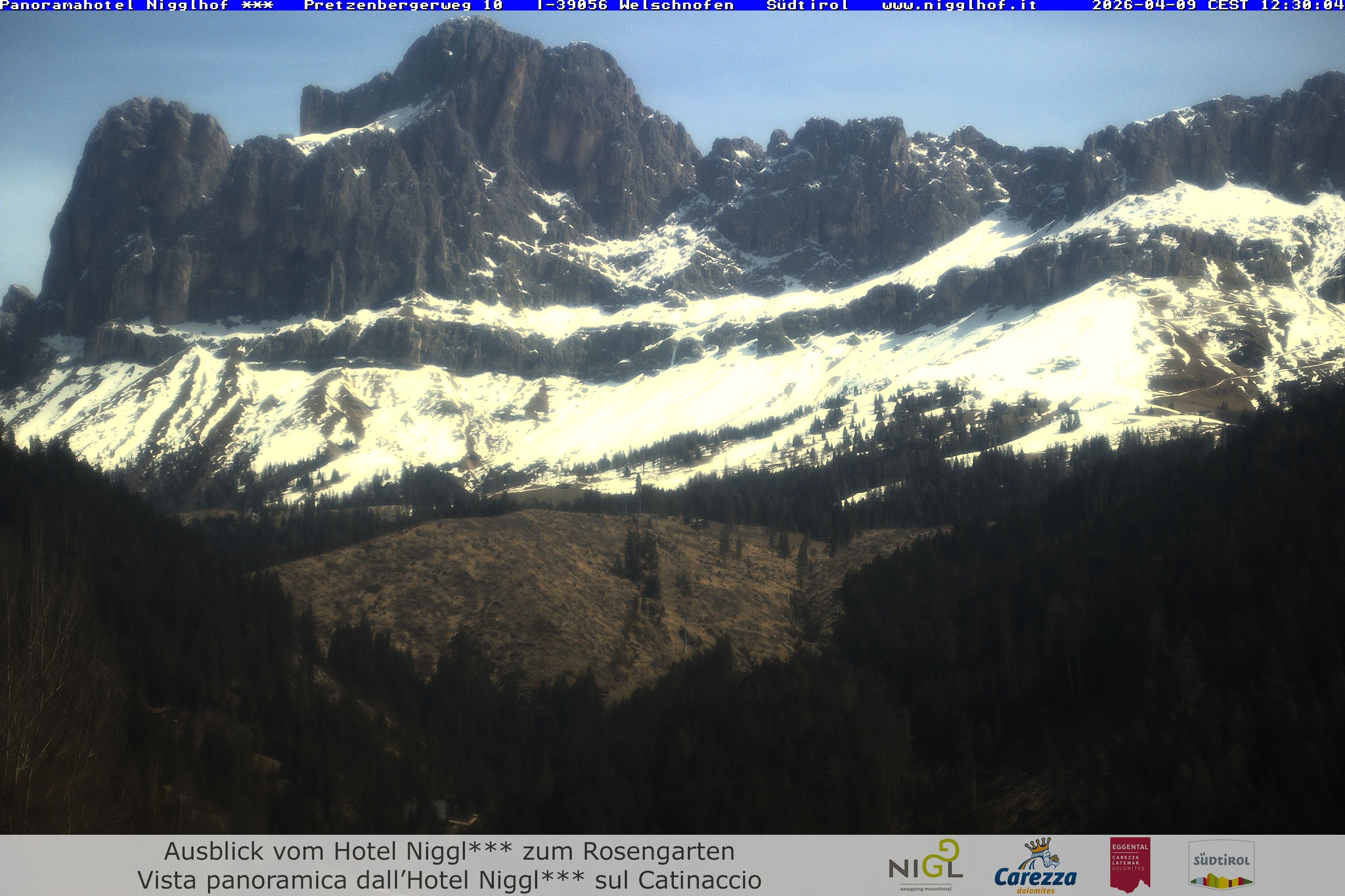 Archiv Foto Webcam Welschnofen: Hotel Nigglhof