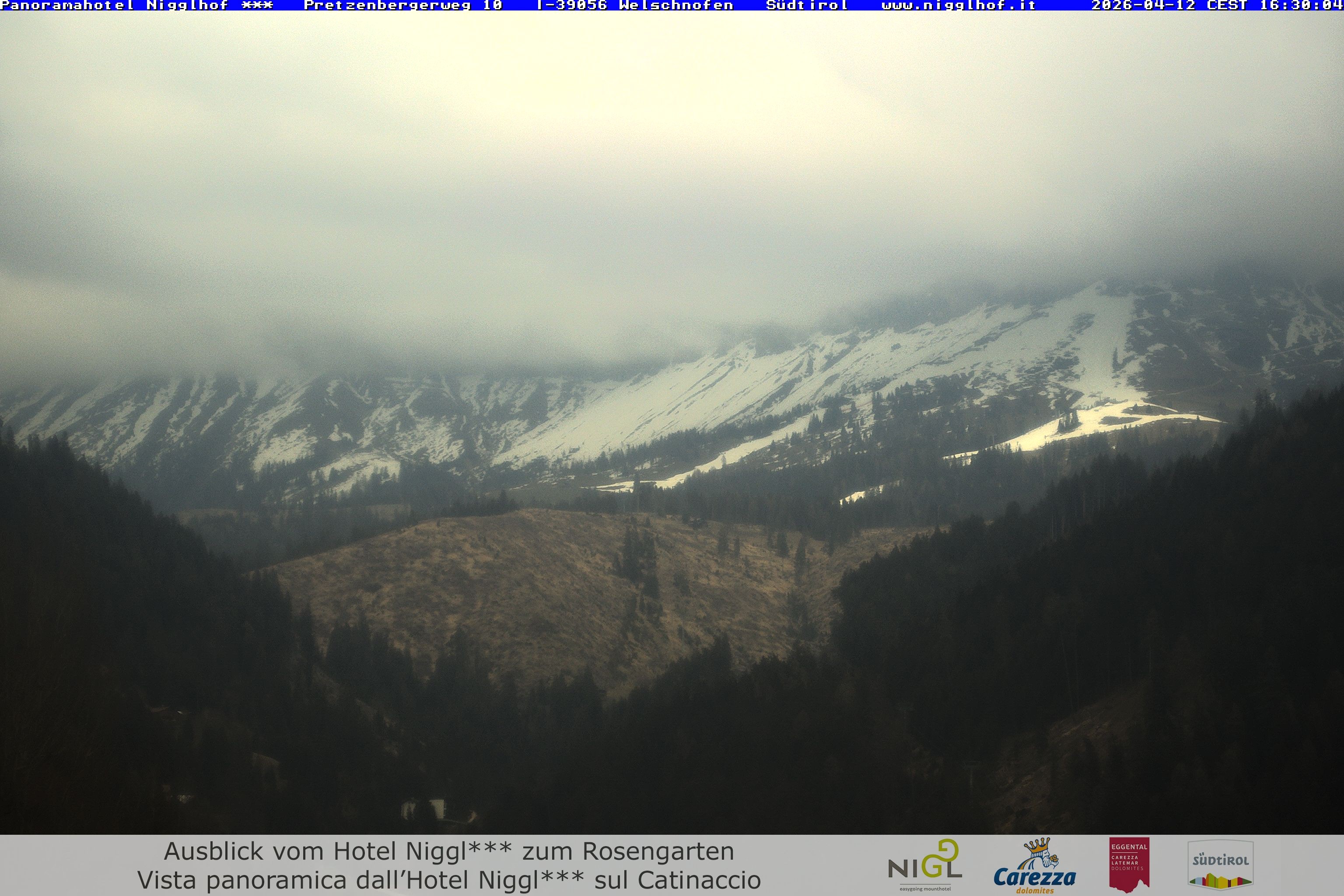 Archiv Foto Webcam Welschnofen: Hotel Nigglhof