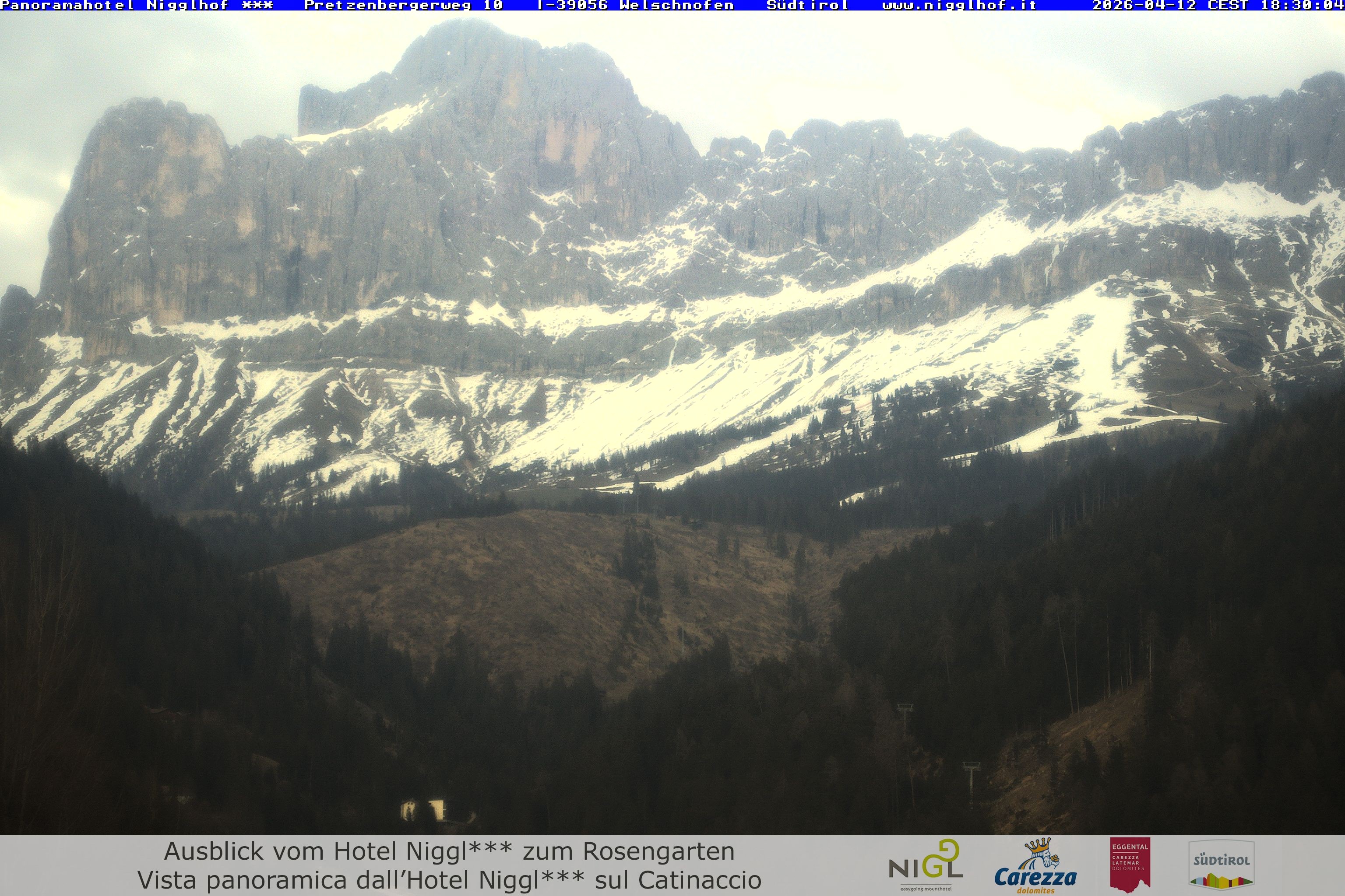 Archiv Foto Webcam Welschnofen: Hotel Nigglhof