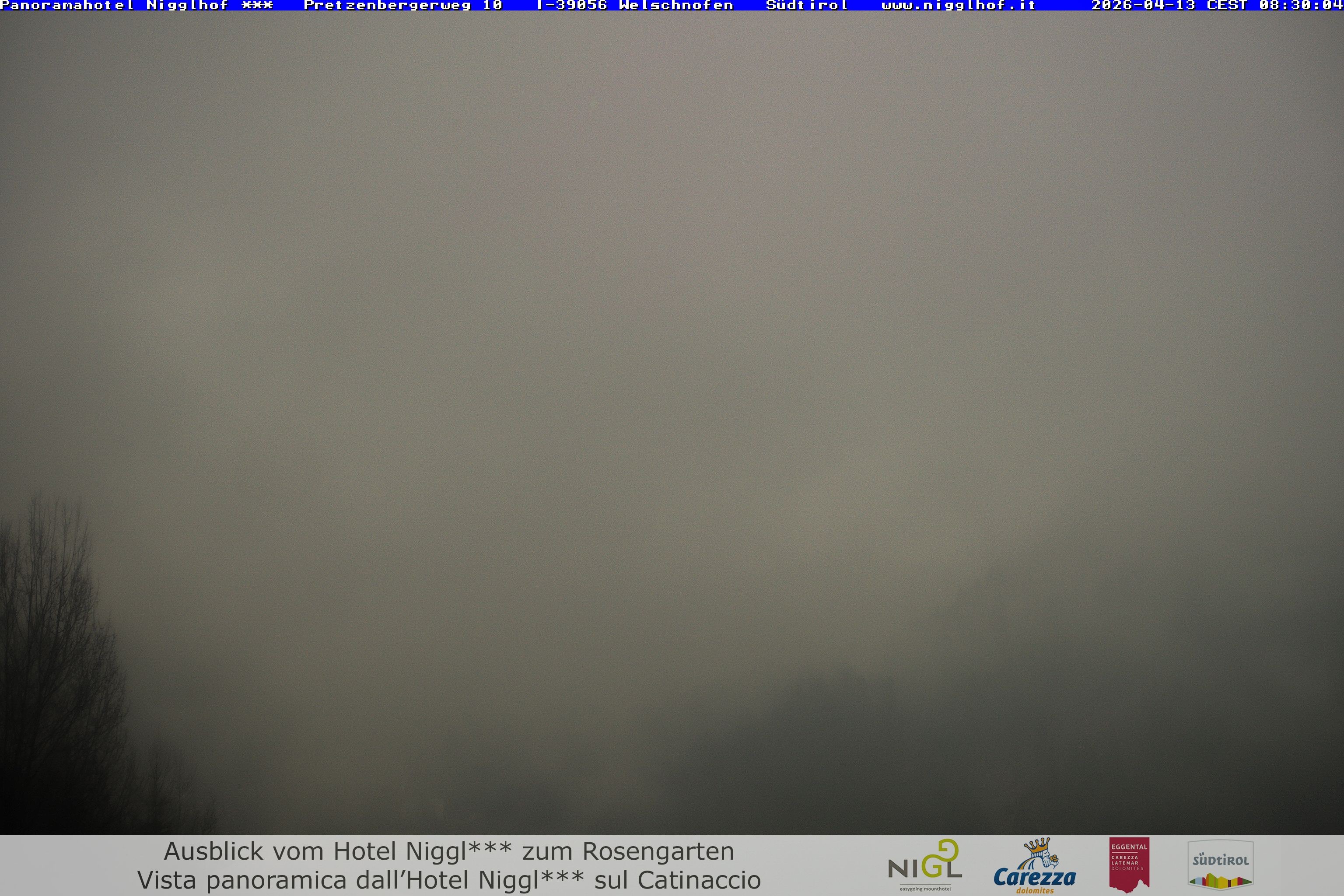 Archived image Webcam Welschnofen: Hotel Nigglhof