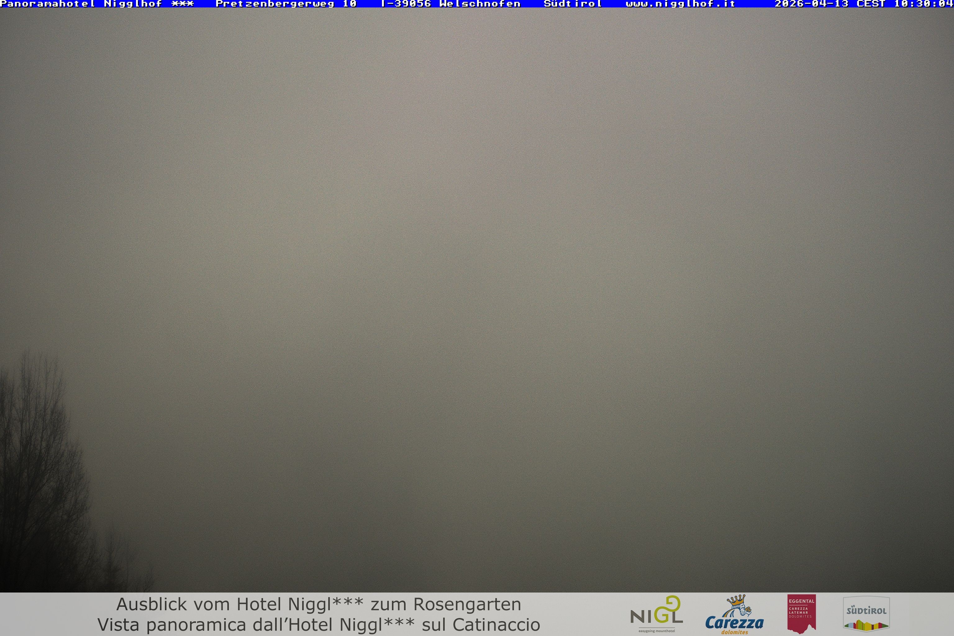 Archived image Webcam Welschnofen: Hotel Nigglhof