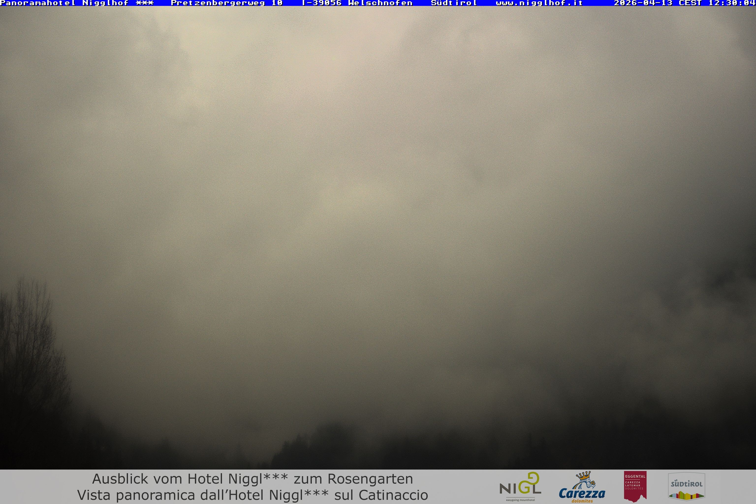 Archived image Webcam Welschnofen: Hotel Nigglhof