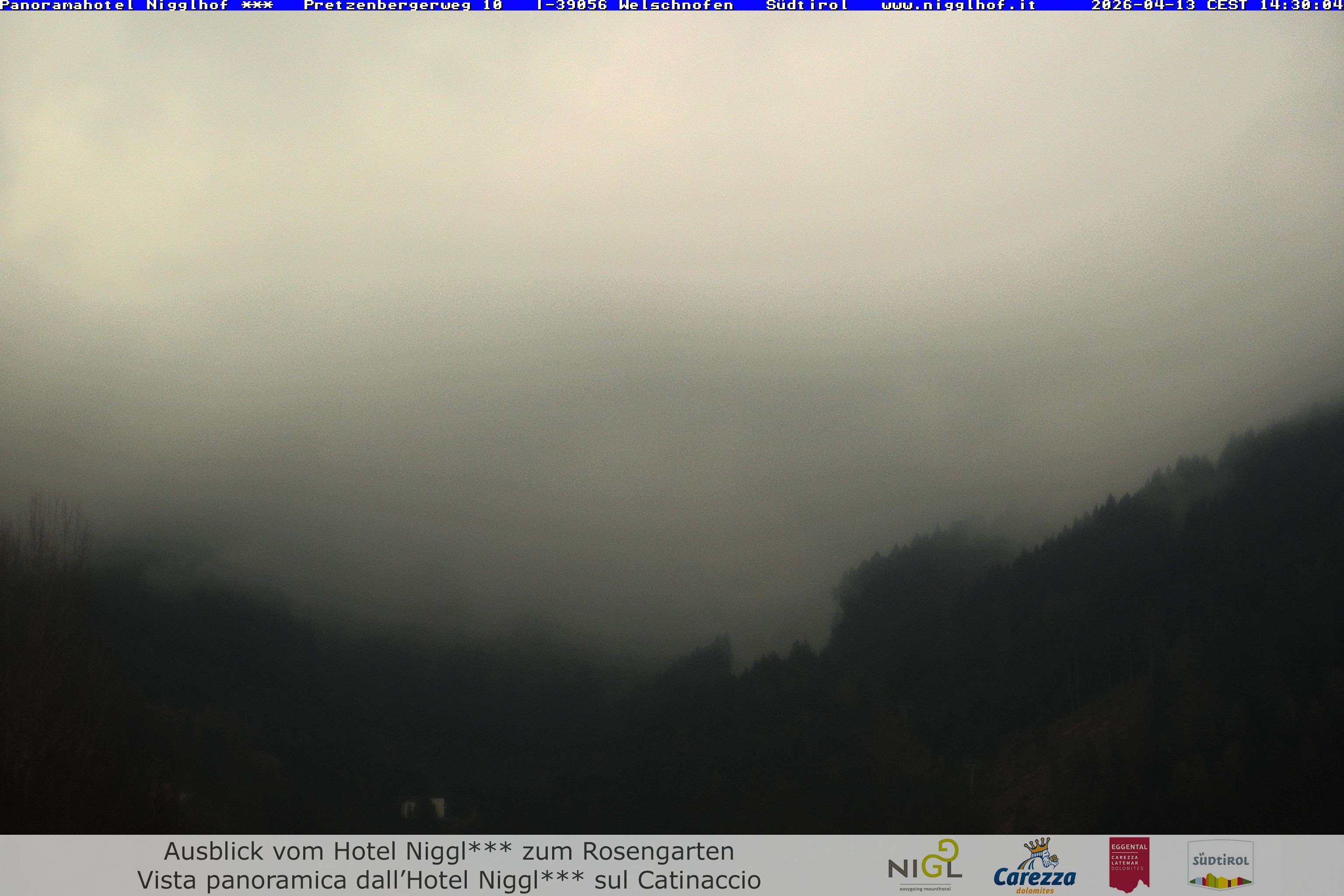 Archived image Webcam Welschnofen: Hotel Nigglhof