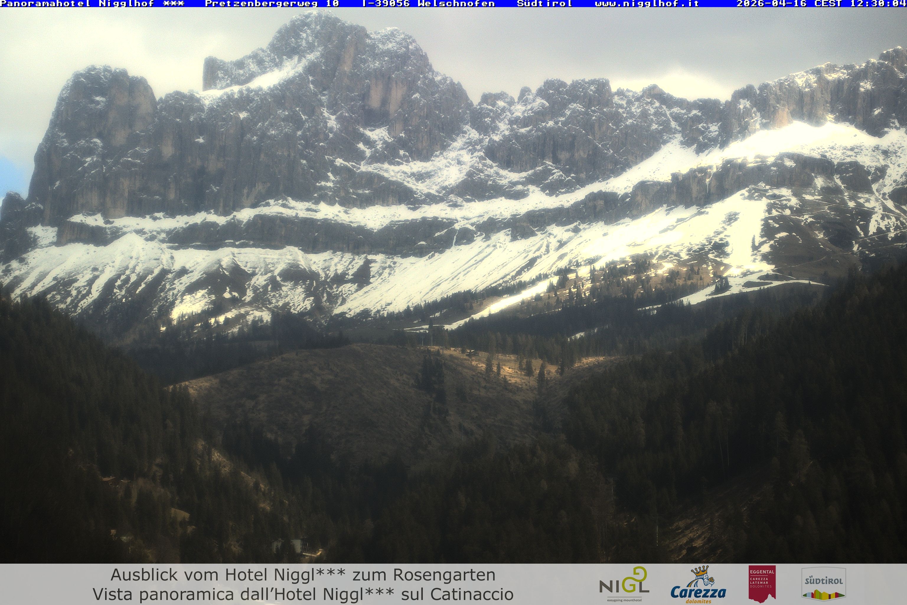 Archived image Webcam Welschnofen: Hotel Nigglhof