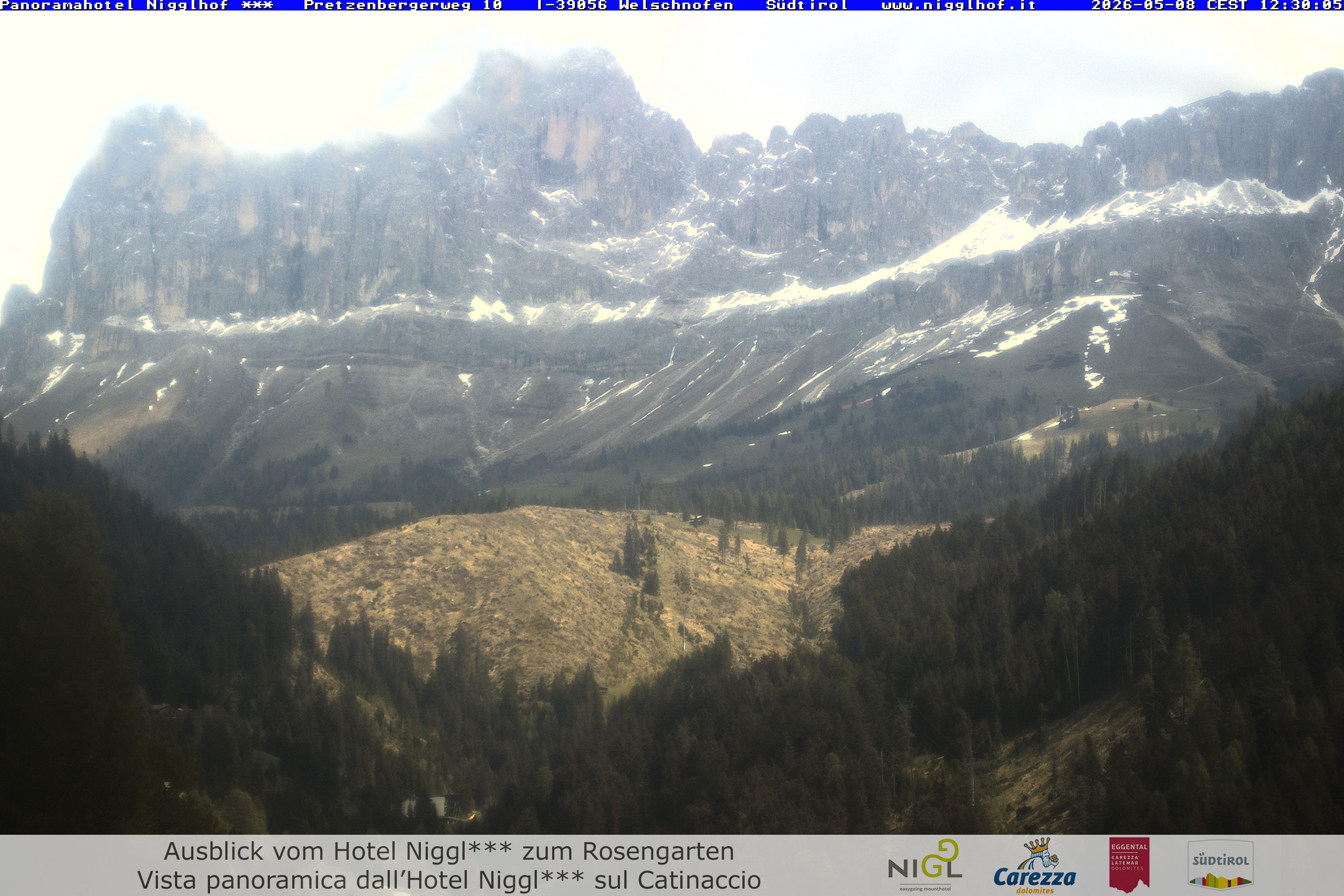 Archived image Webcam Welschnofen: Hotel Nigglhof