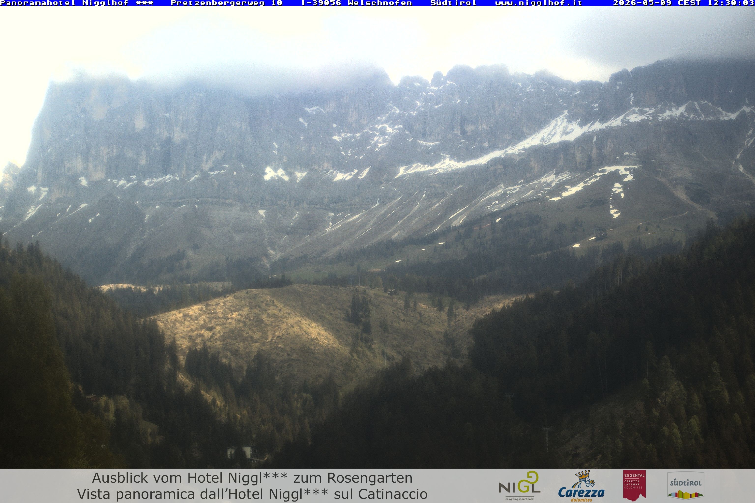 Archived image Webcam Welschnofen: Hotel Nigglhof