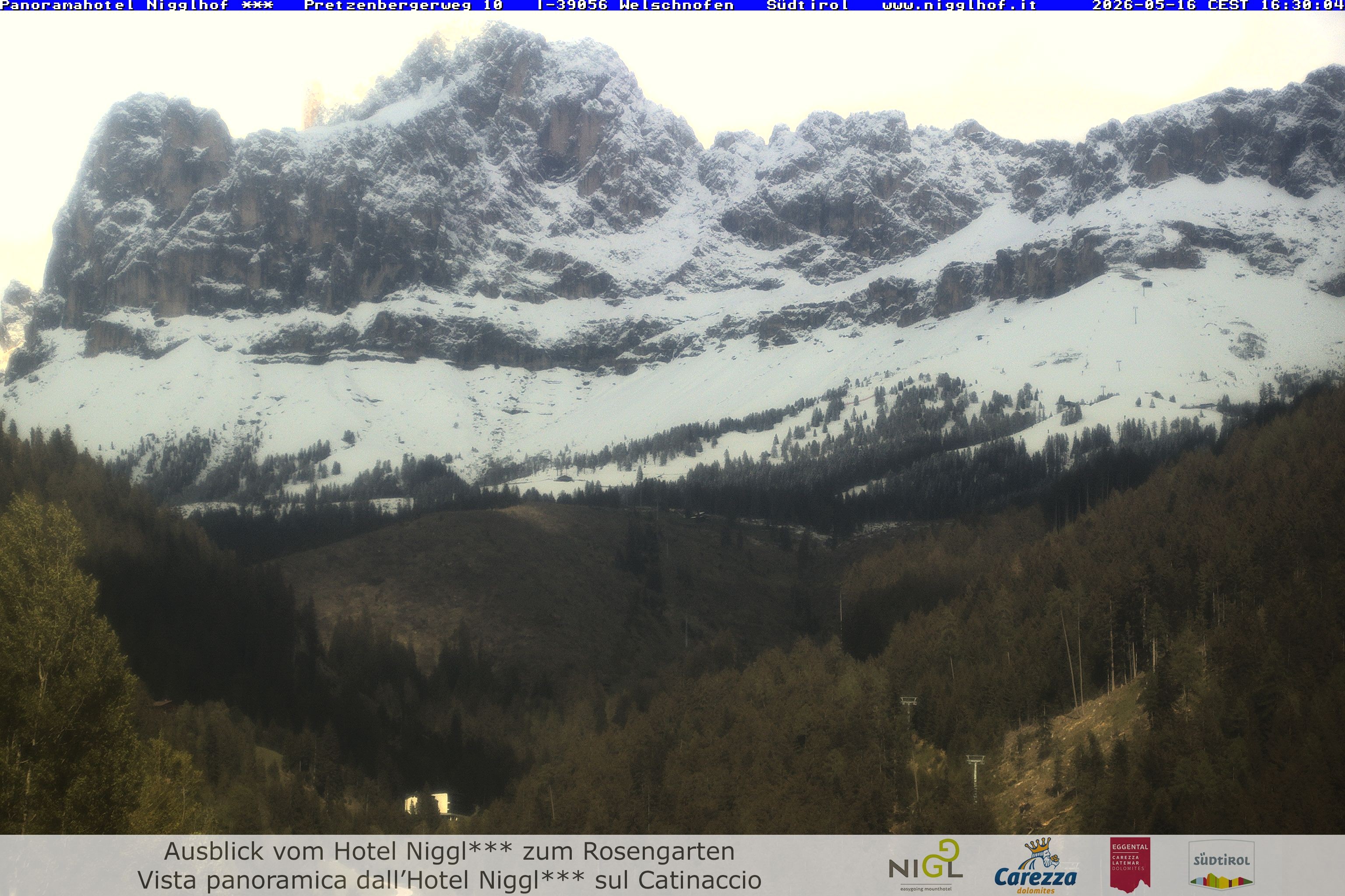 Archiv Foto Webcam Welschnofen: Hotel Nigglhof
