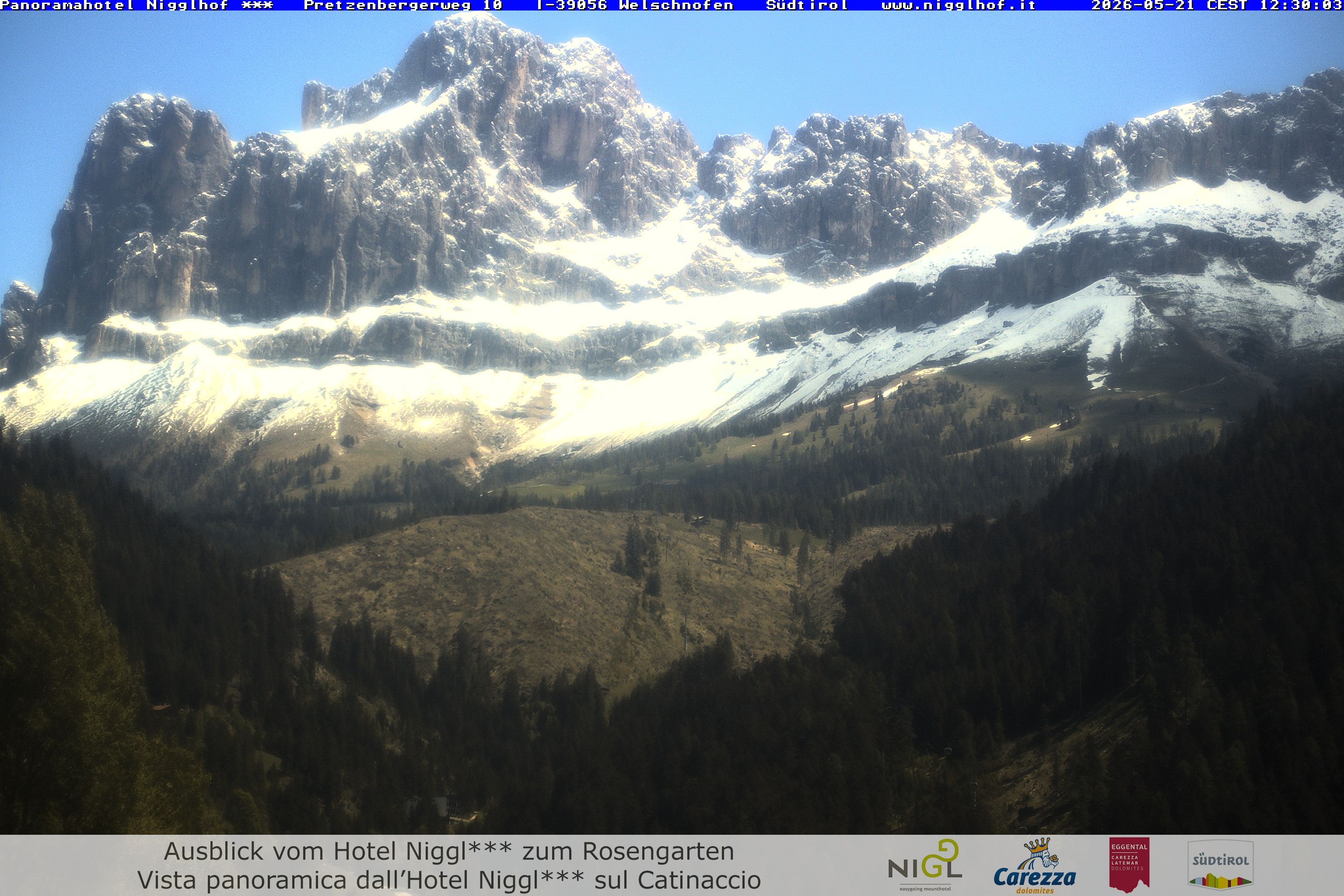 Archived image Webcam Welschnofen: Hotel Nigglhof