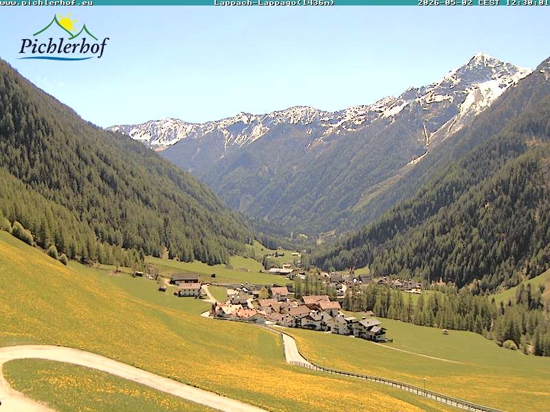 Archiv Foto Webcam Pichlerhof, Tauferer Ahnrtal
