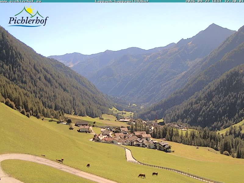Archiv Foto Webcam Pichlerhof, Tauferer Ahnrtal