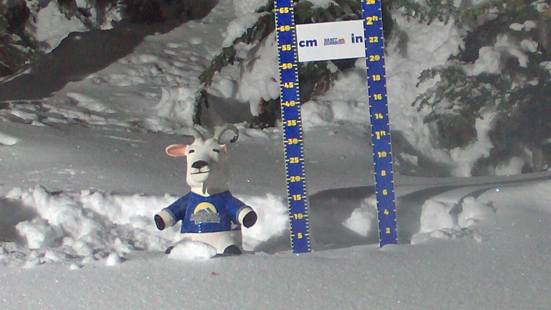 Archiv Foto Webcam Sunshine Village: Aktuelle Schneehöhe