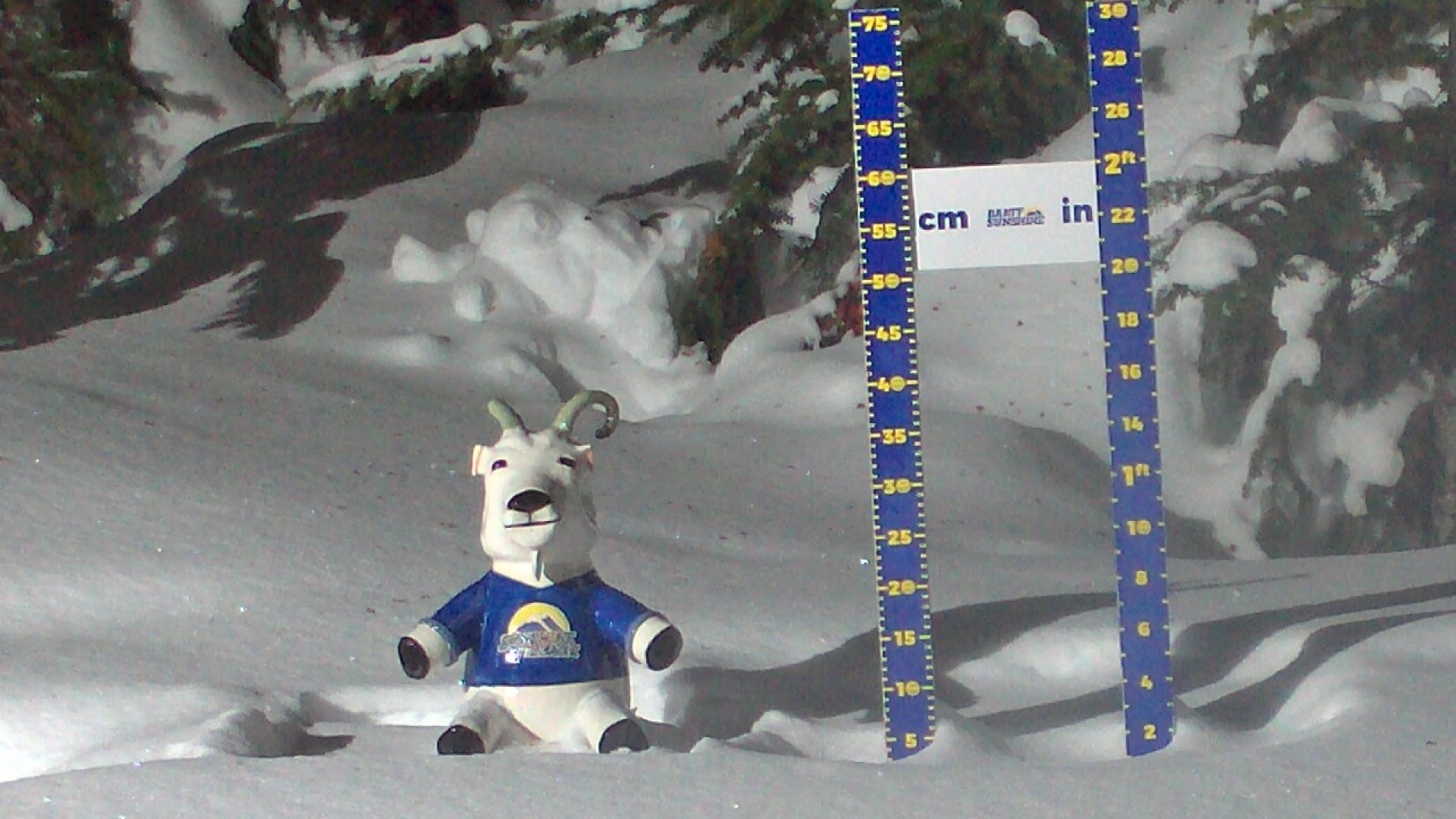 Archiv Foto Webcam Sunshine Village: Aktuelle Schneehöhe