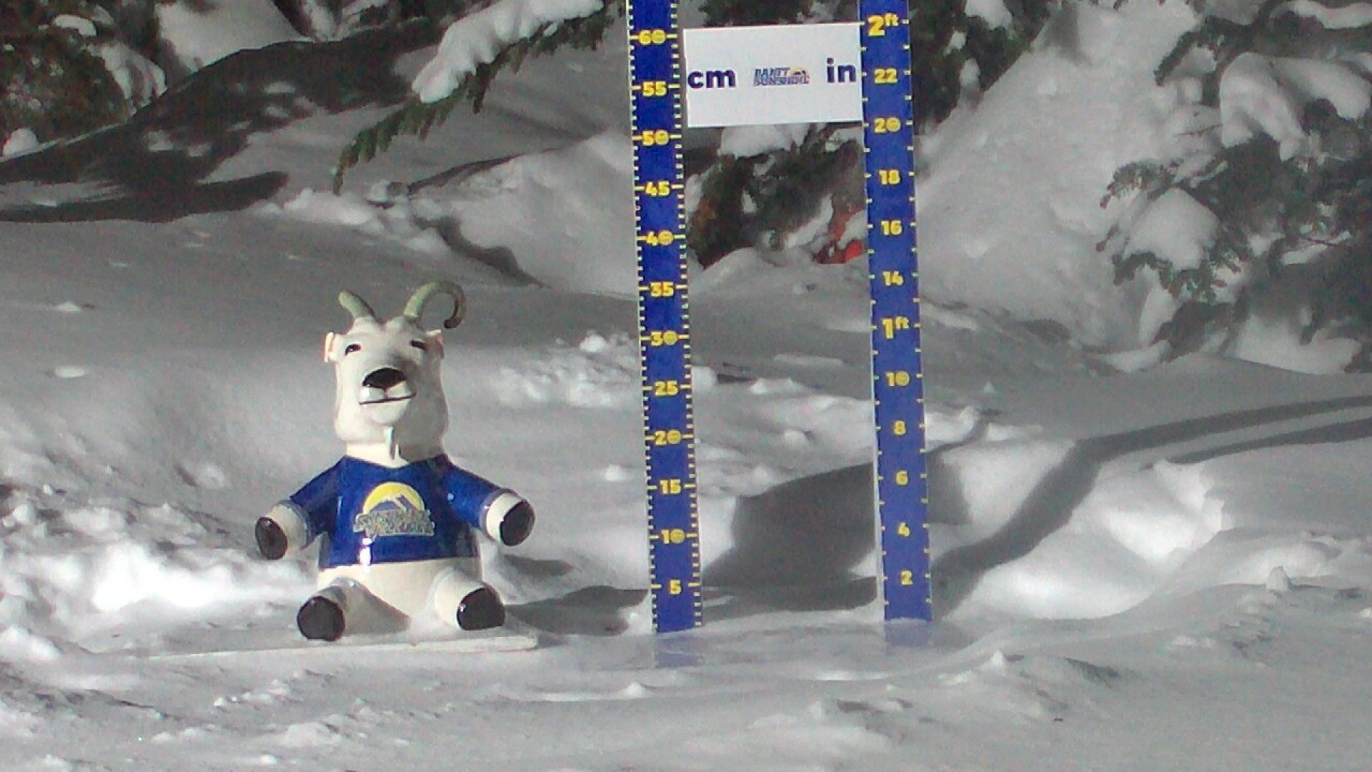 Archived image Webcam Sunshine Village: Snow Depth