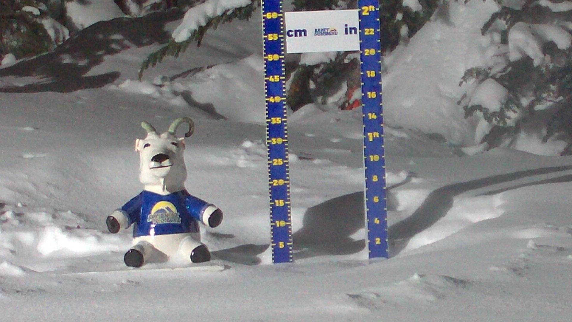 Archived image Webcam Sunshine Village: Snow Depth