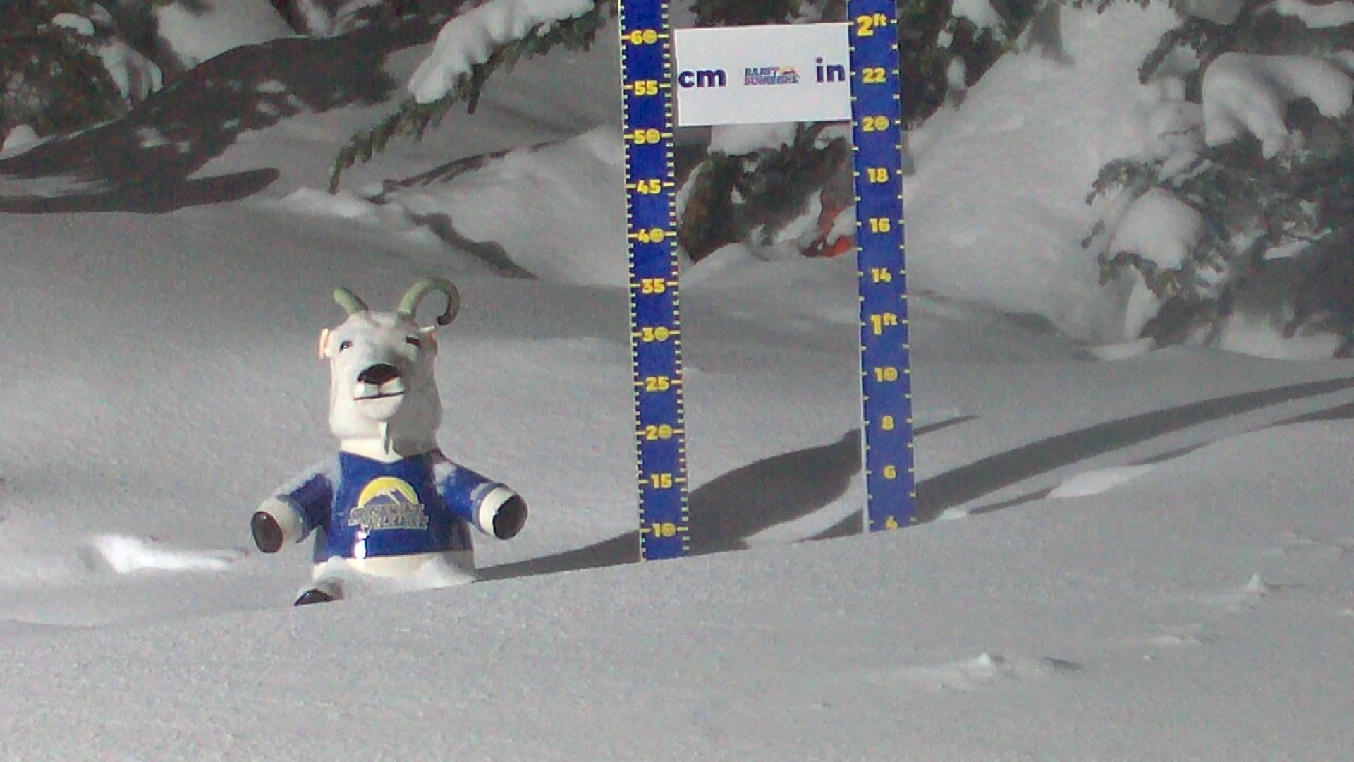 Archived image Webcam Sunshine Village: Snow Depth